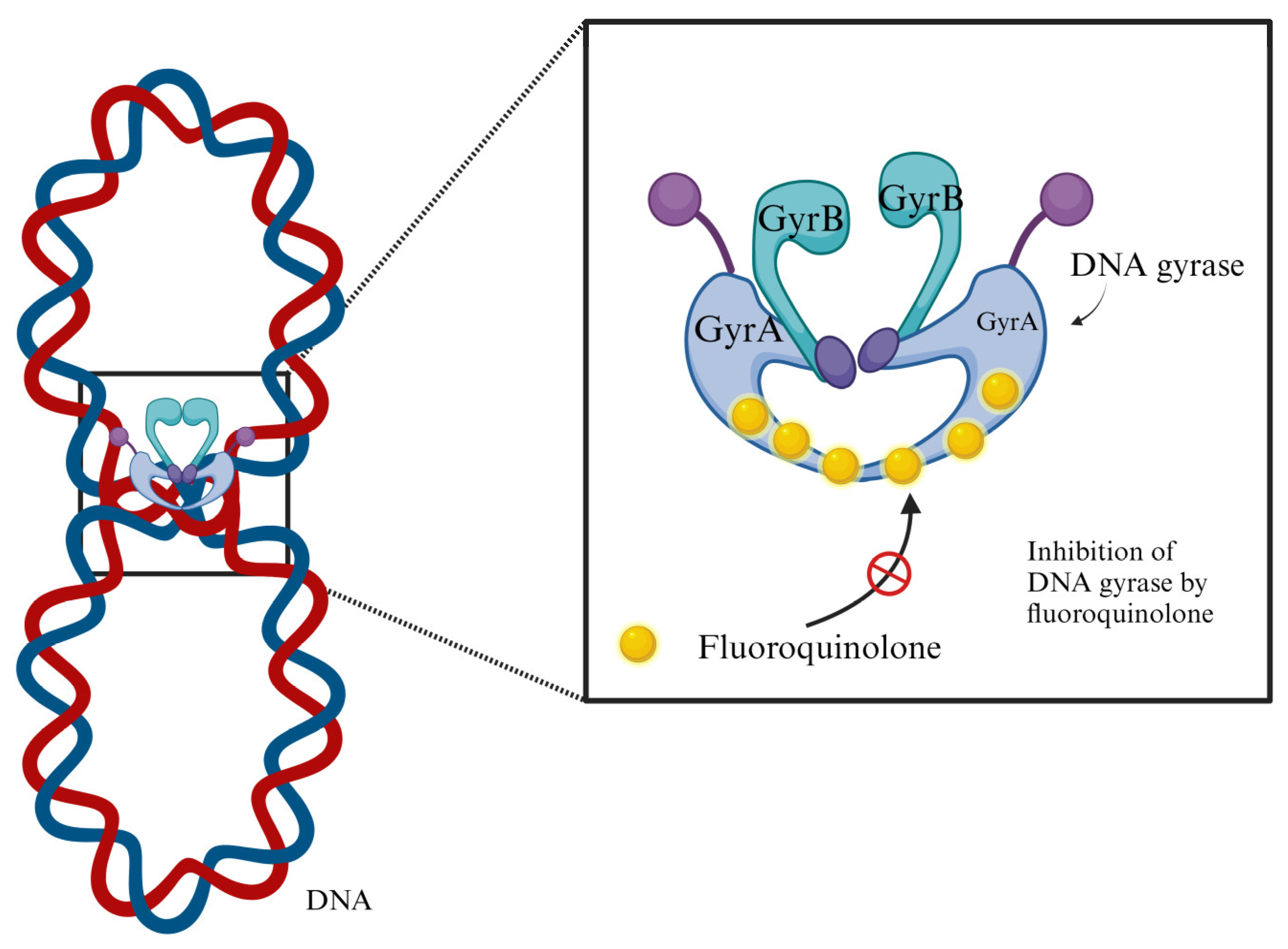 Preprints 113181 g001