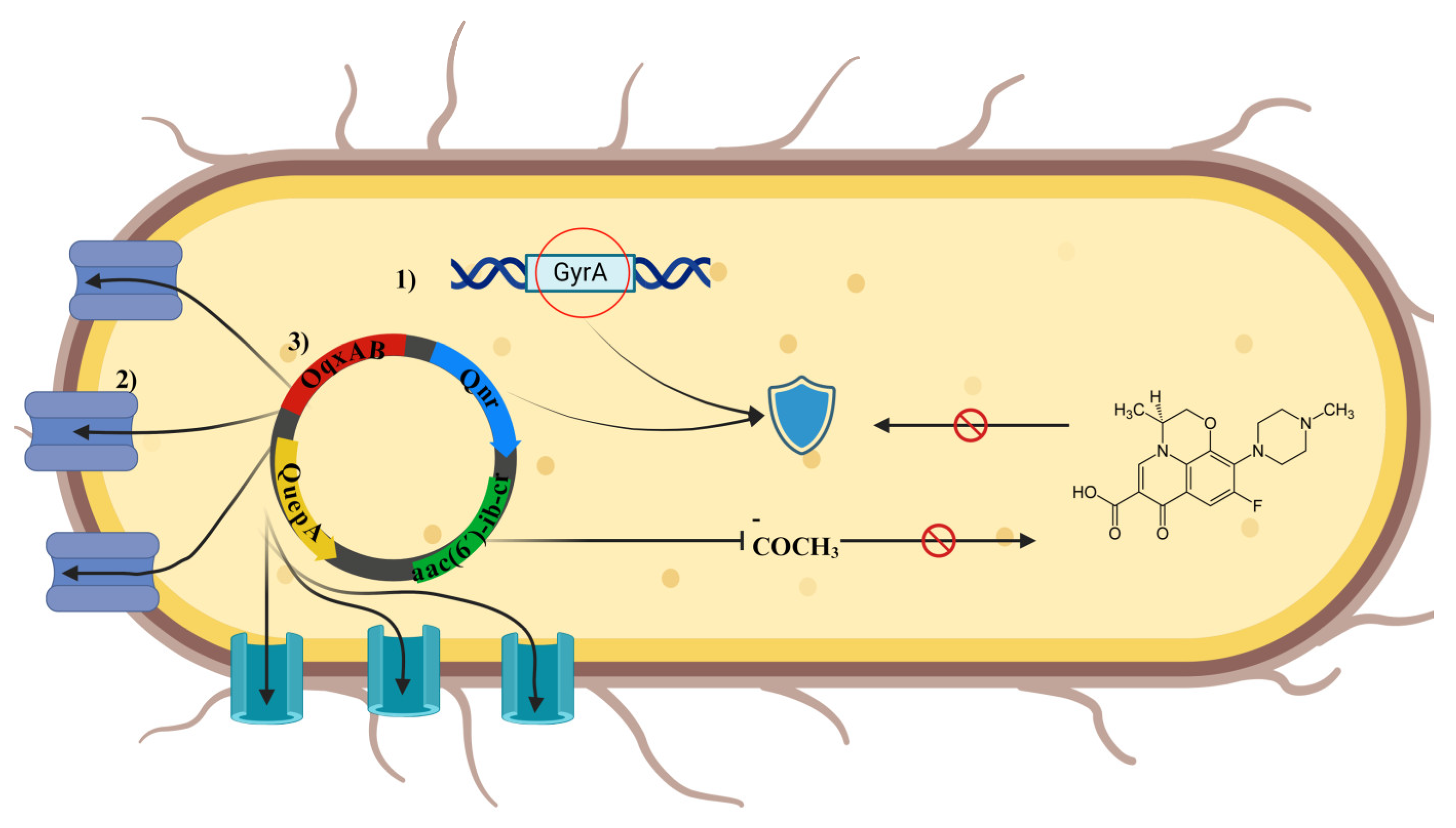 Preprints 113181 g002