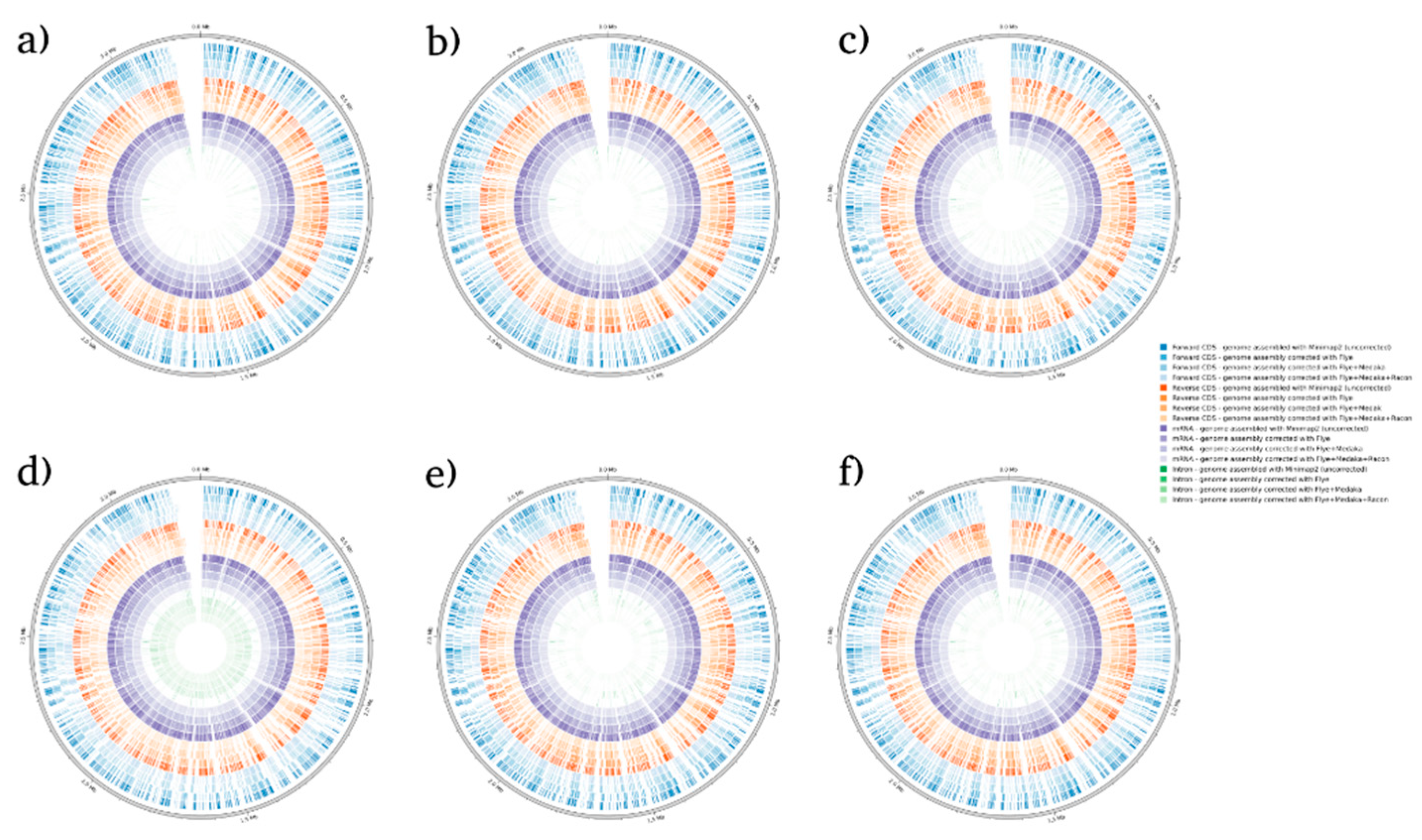 Preprints 92367 g002