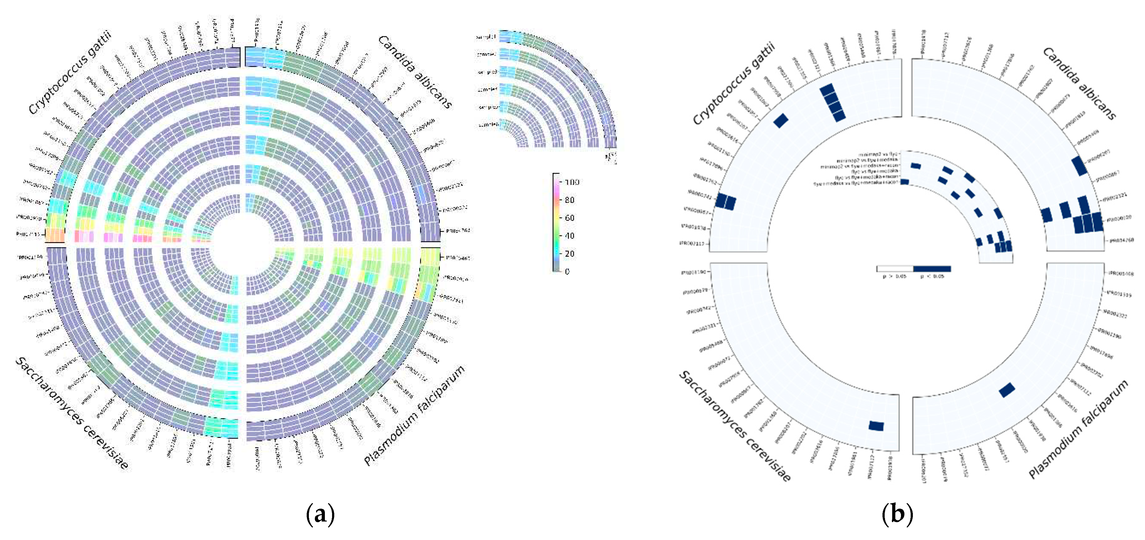 Preprints 92367 g007