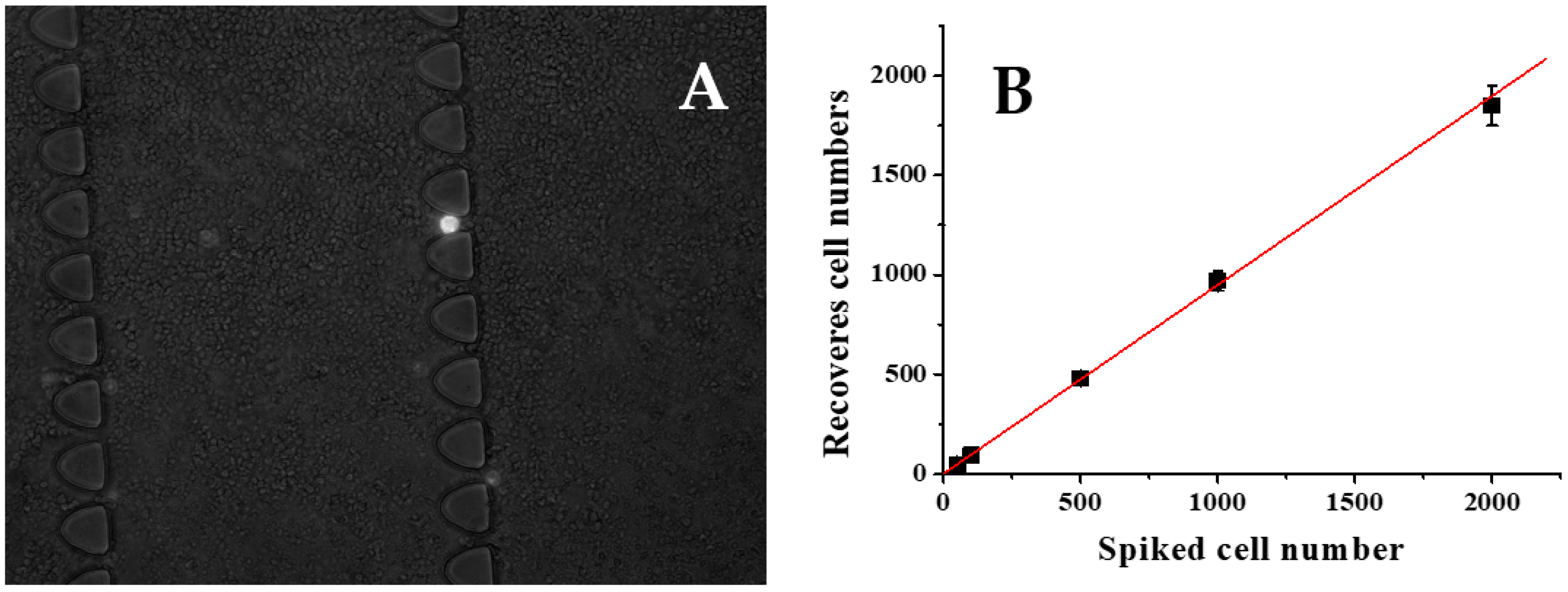 Preprints 72837 g005