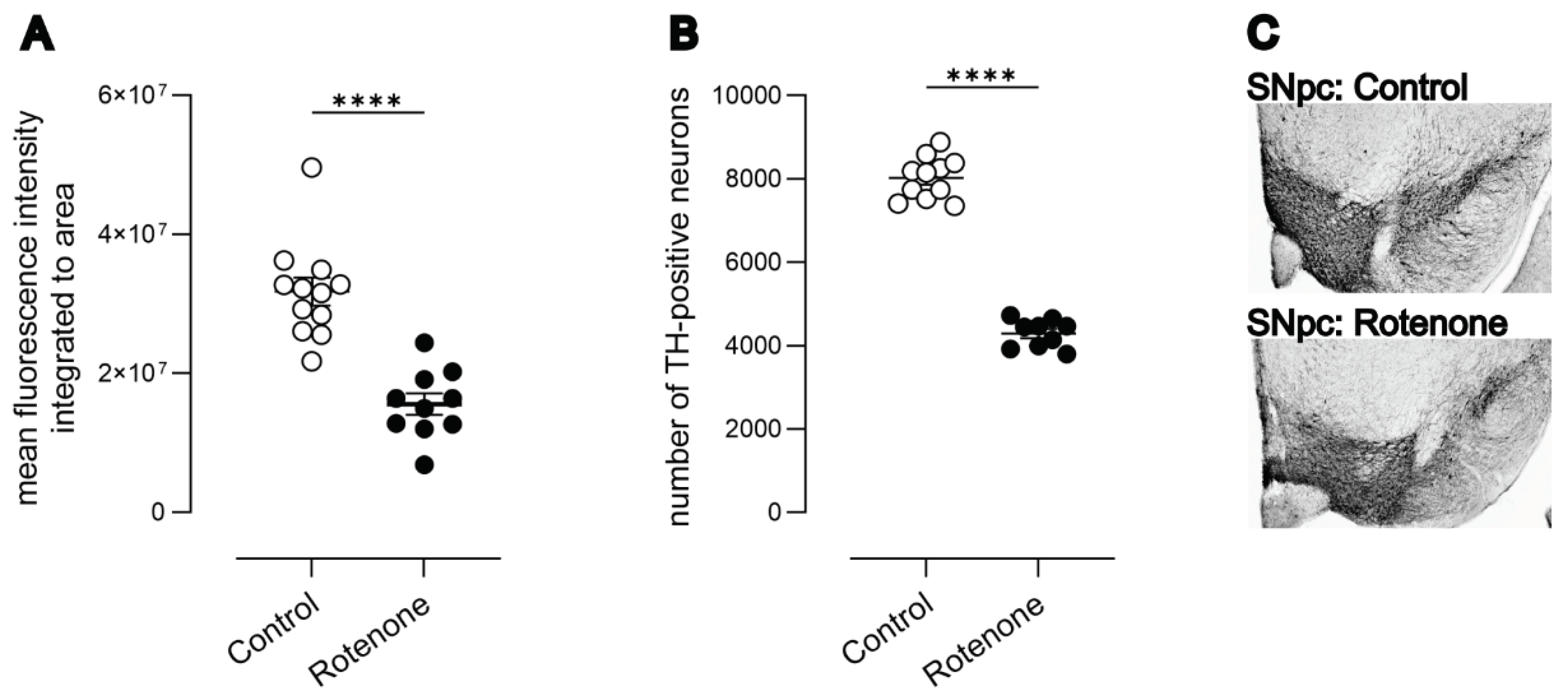 Preprints 101023 g001