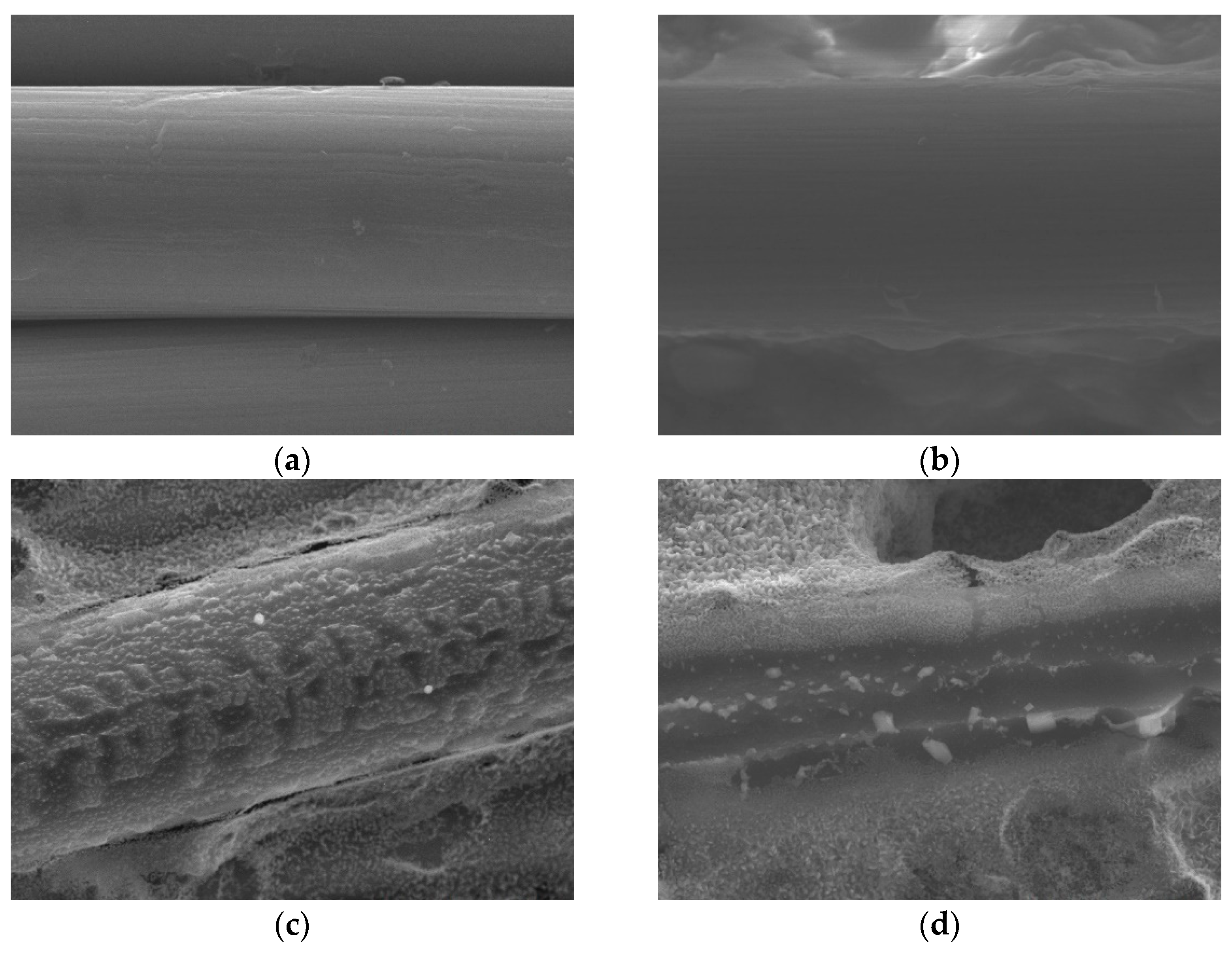 Preprints 81274 g003