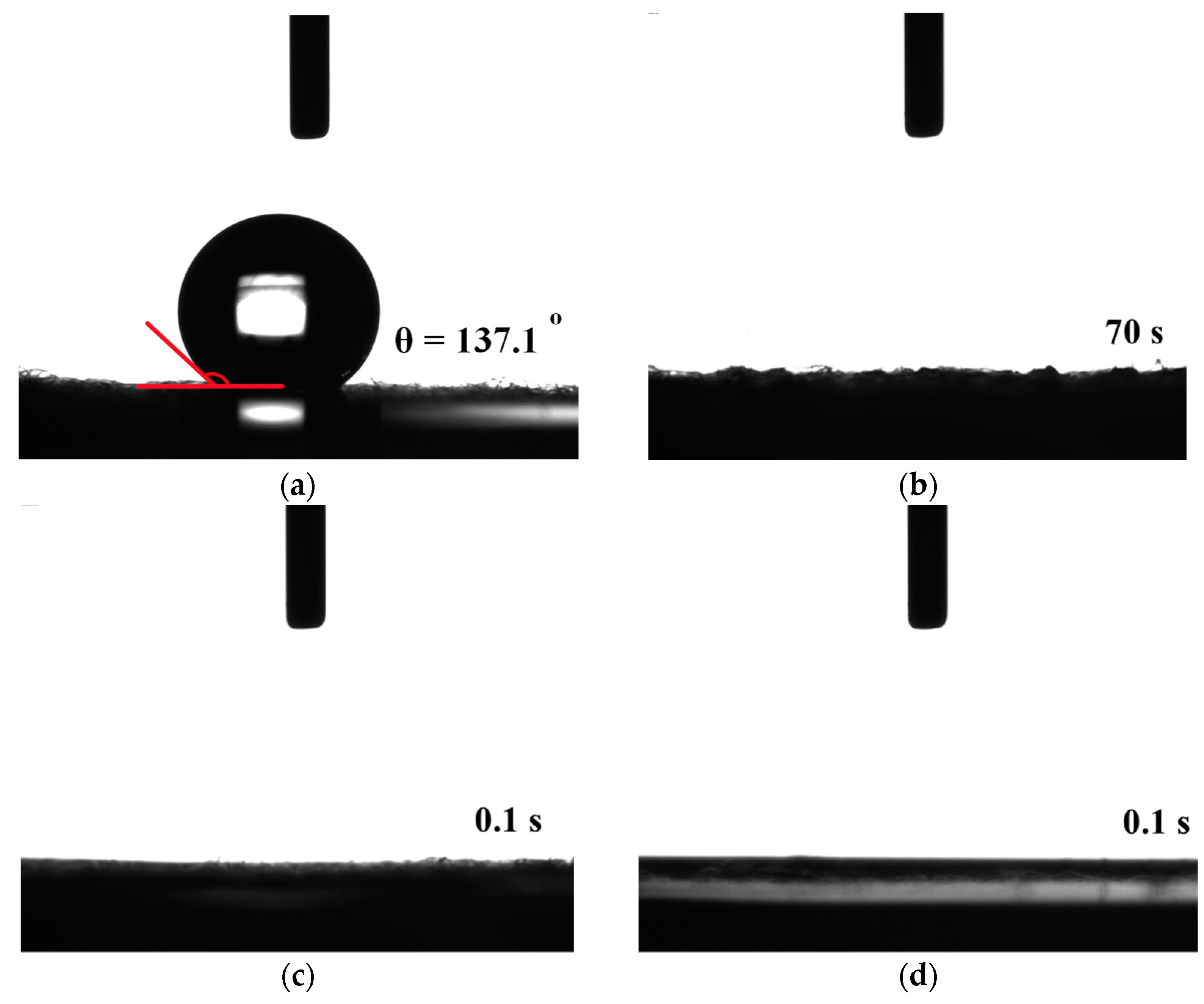 Preprints 81274 g005