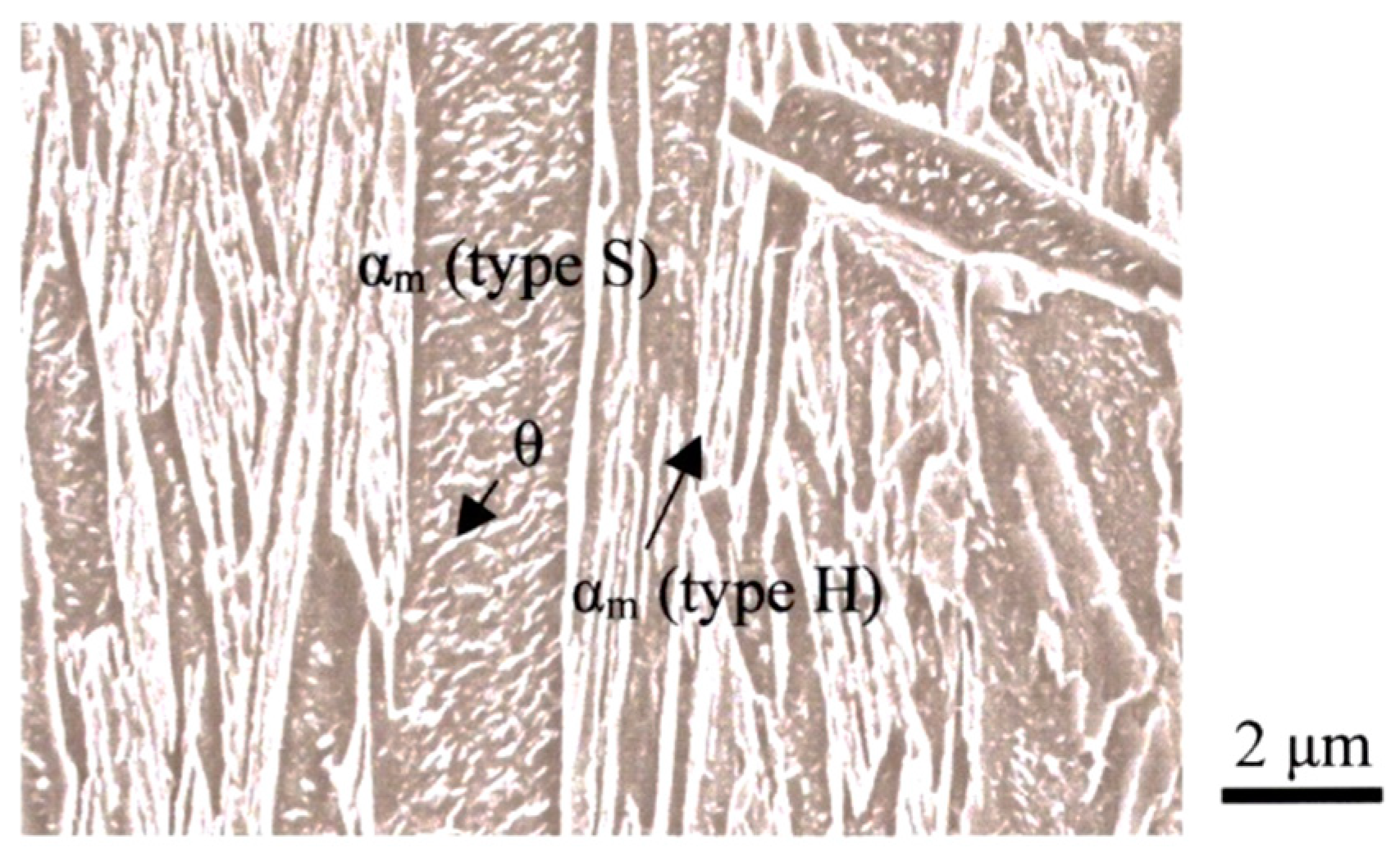 Preprints 76324 g004