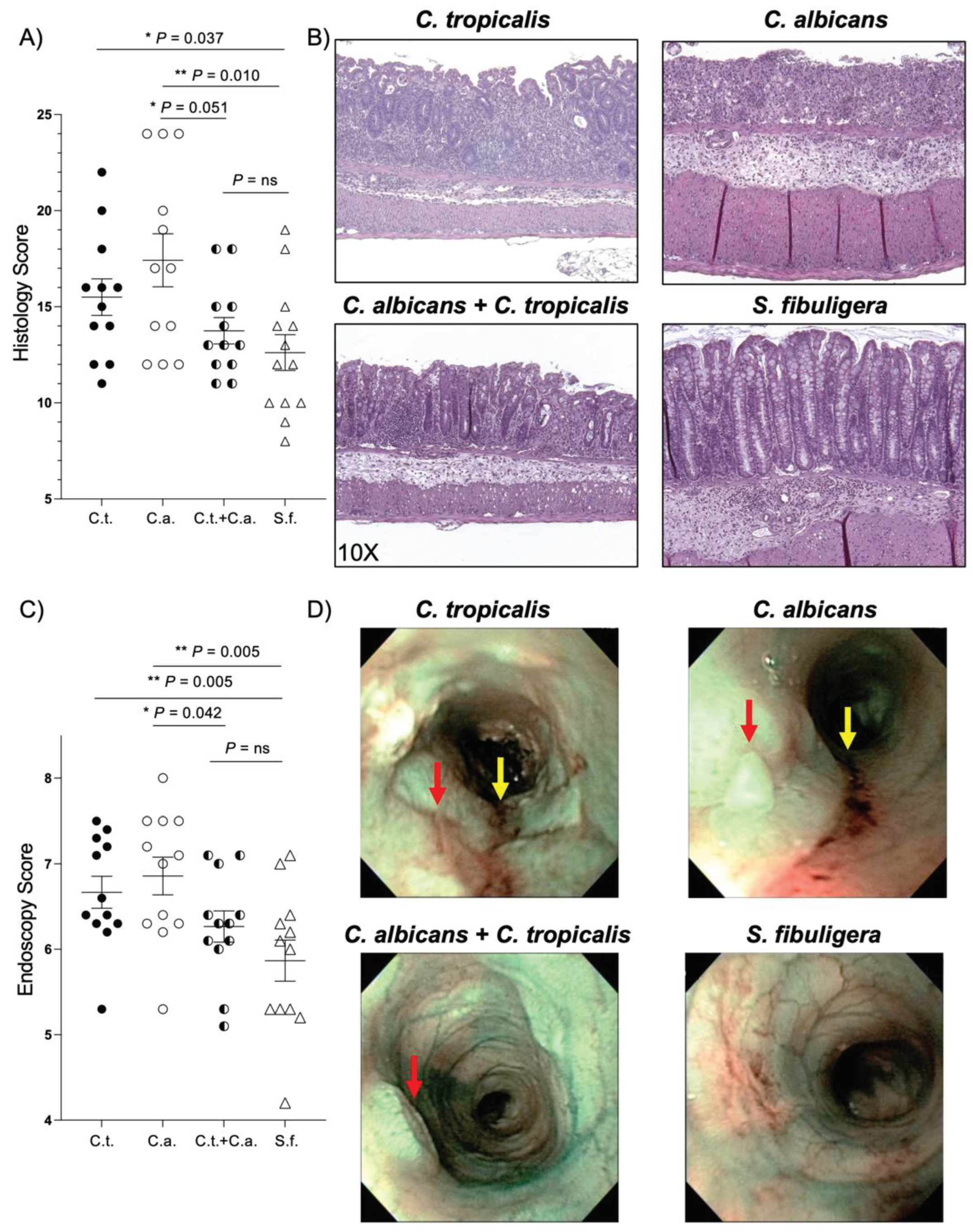 Preprints 100153 g001