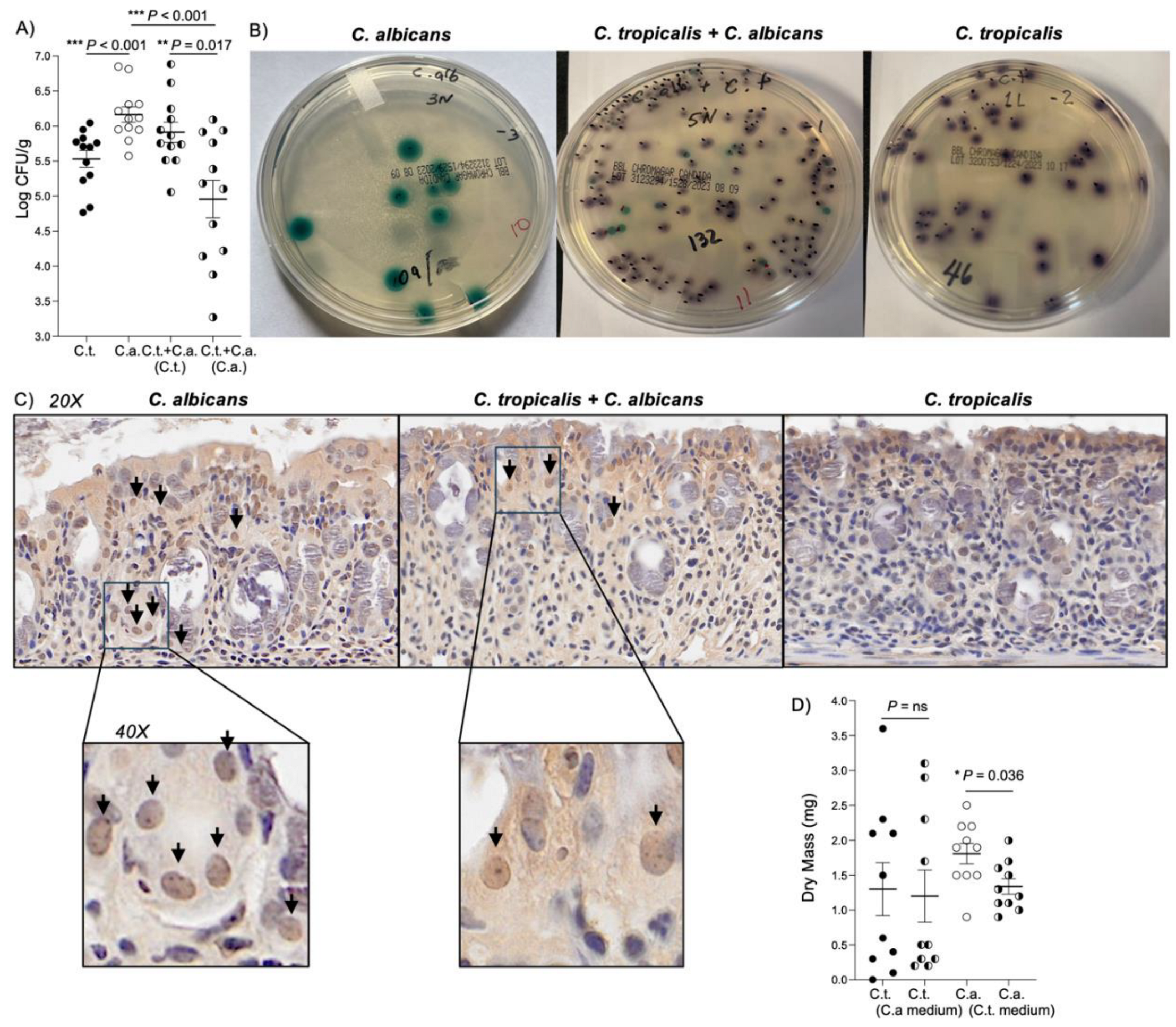 Preprints 100153 g004