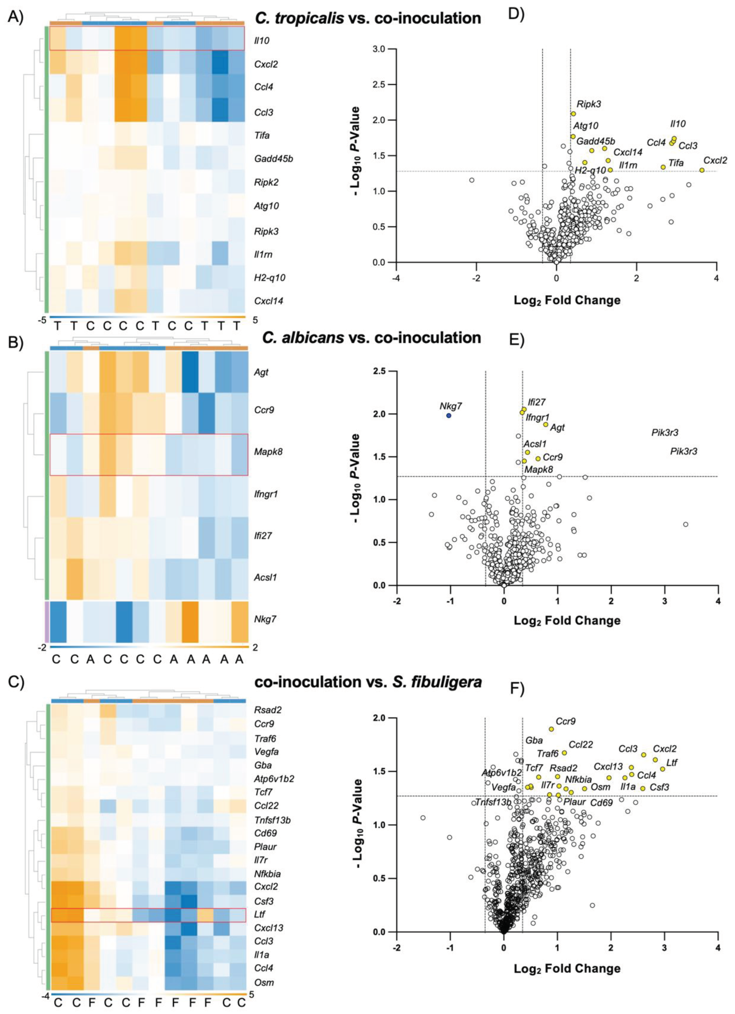 Preprints 100153 g005