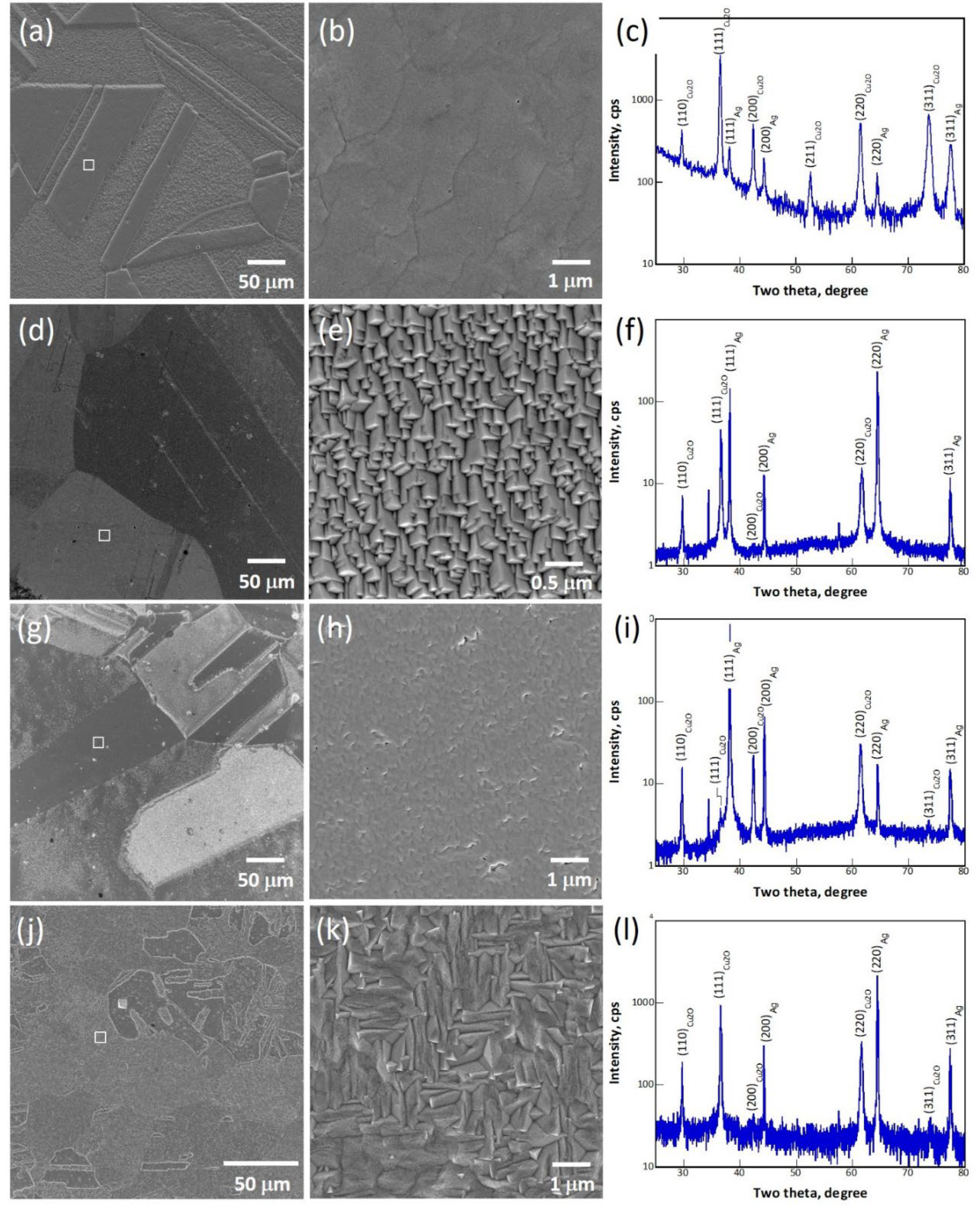 Preprints 71834 g001