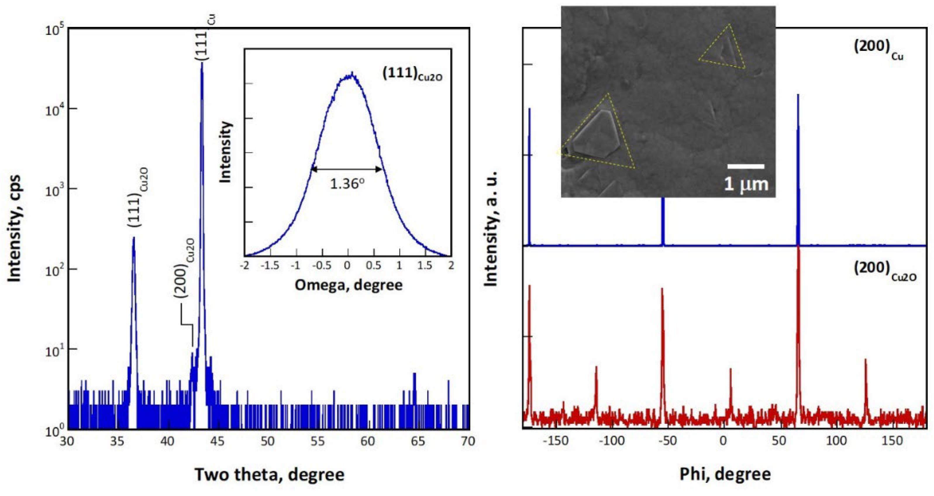 Preprints 71834 g002