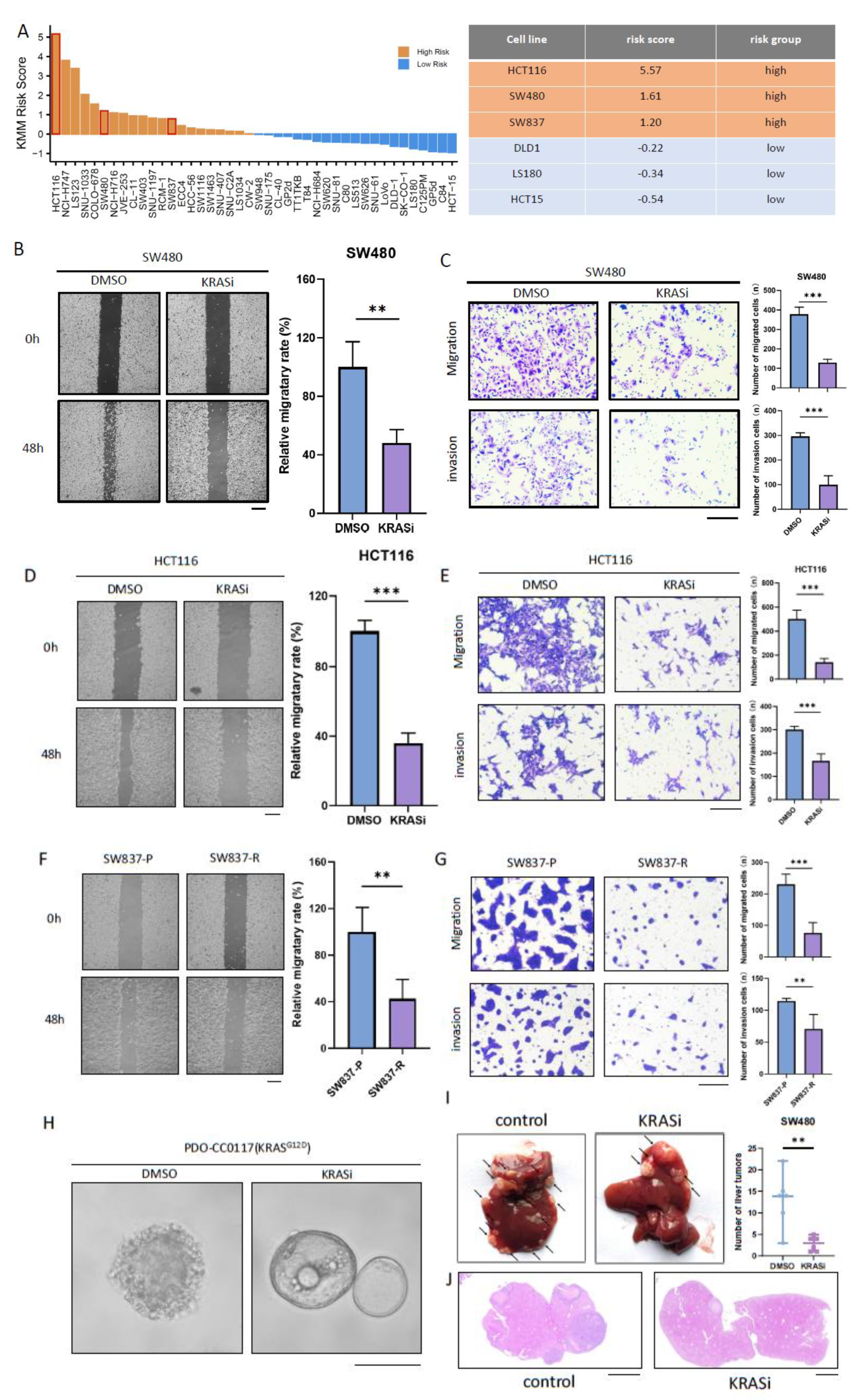 Preprints 101577 g003