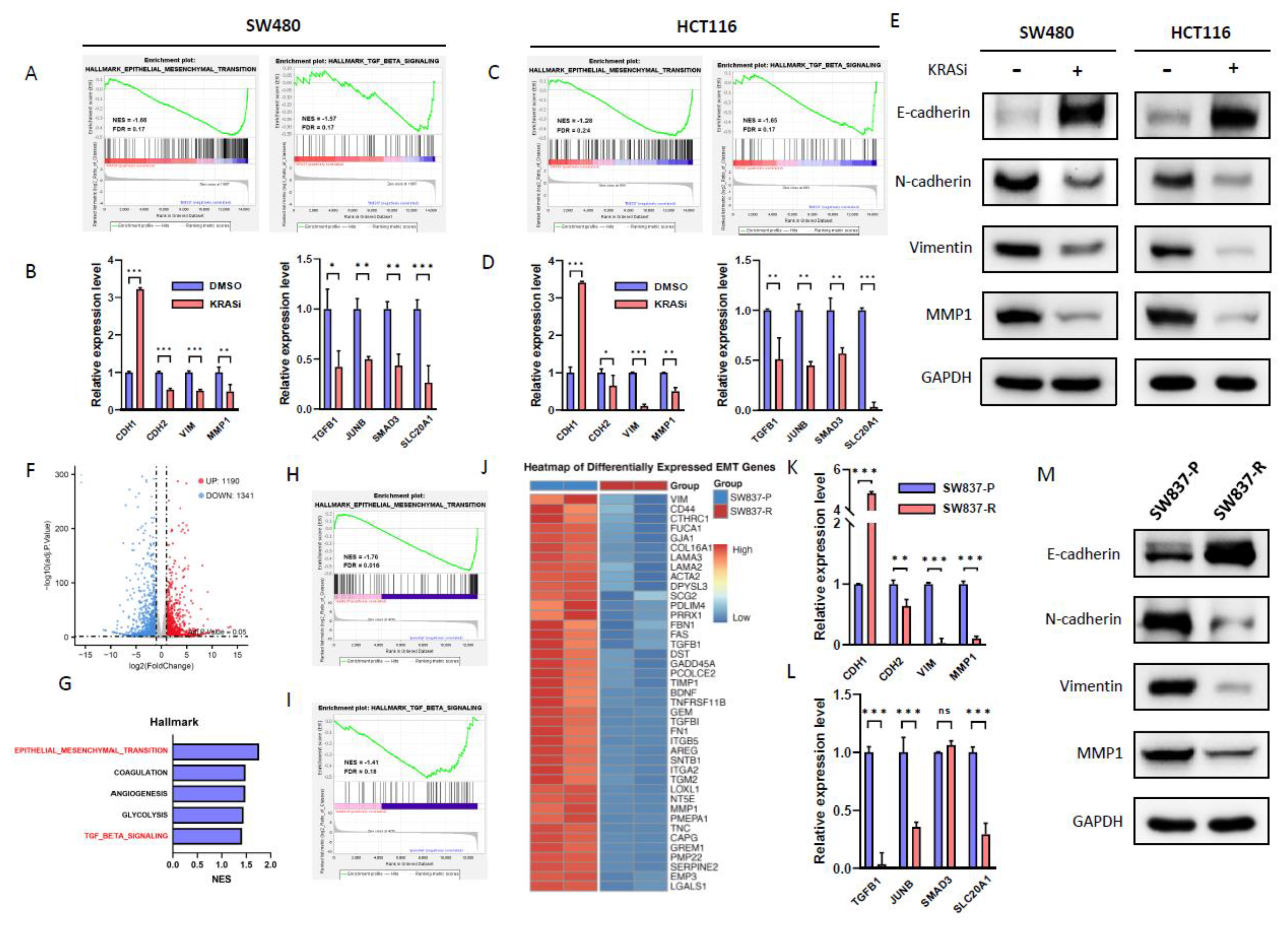 Preprints 101577 g004