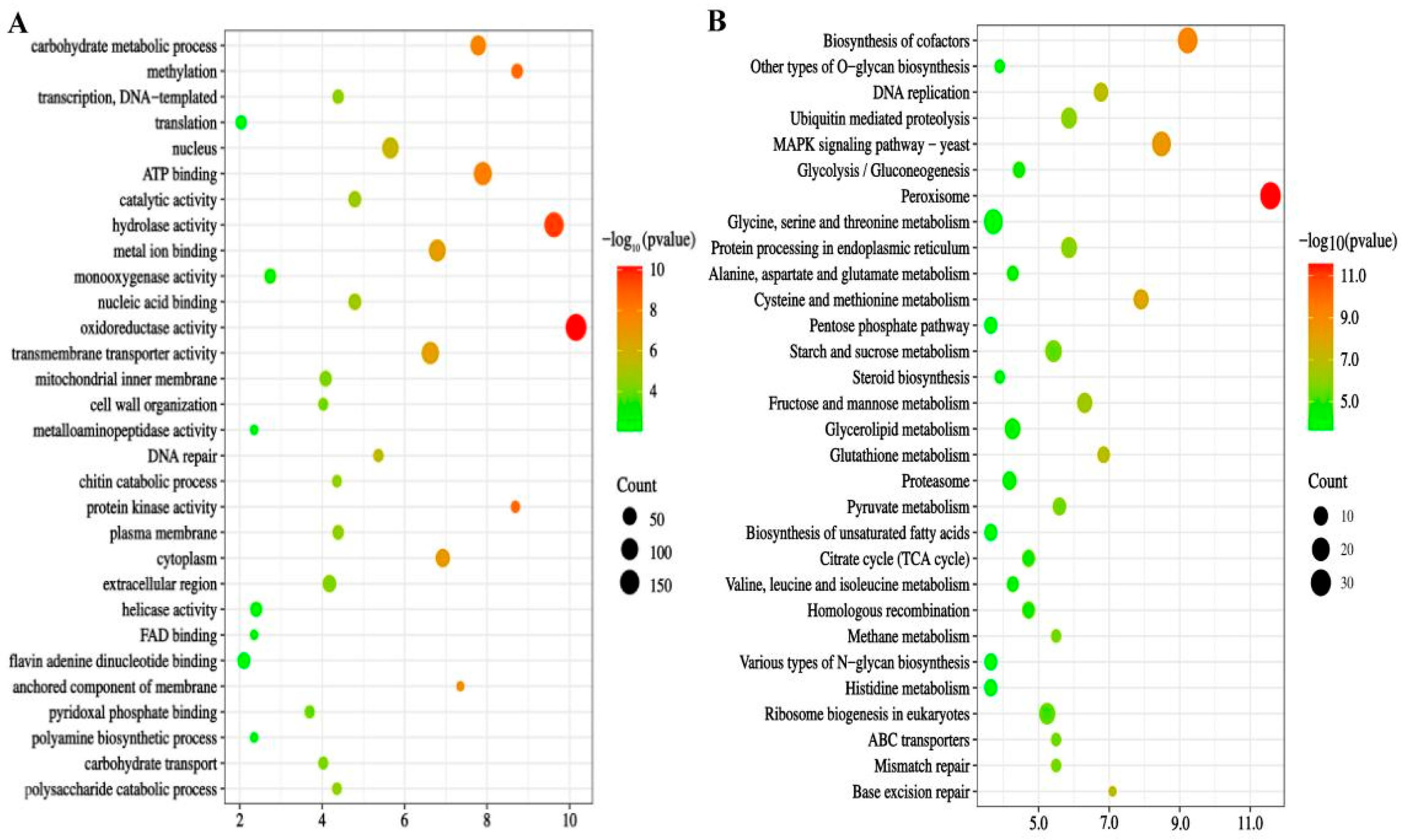 Preprints 114980 g002