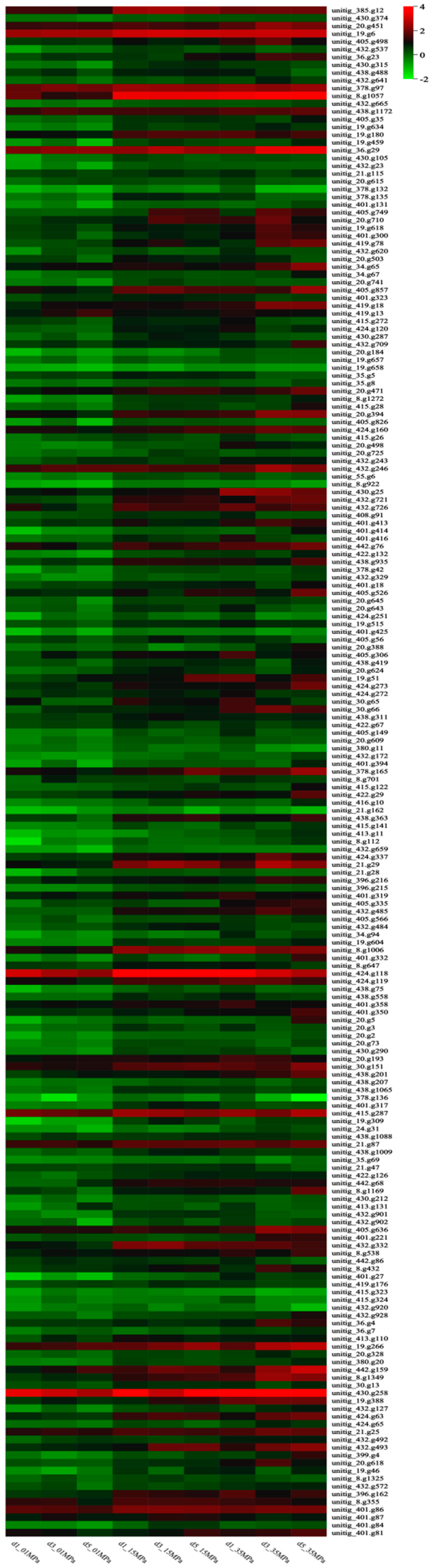 Preprints 114980 g003