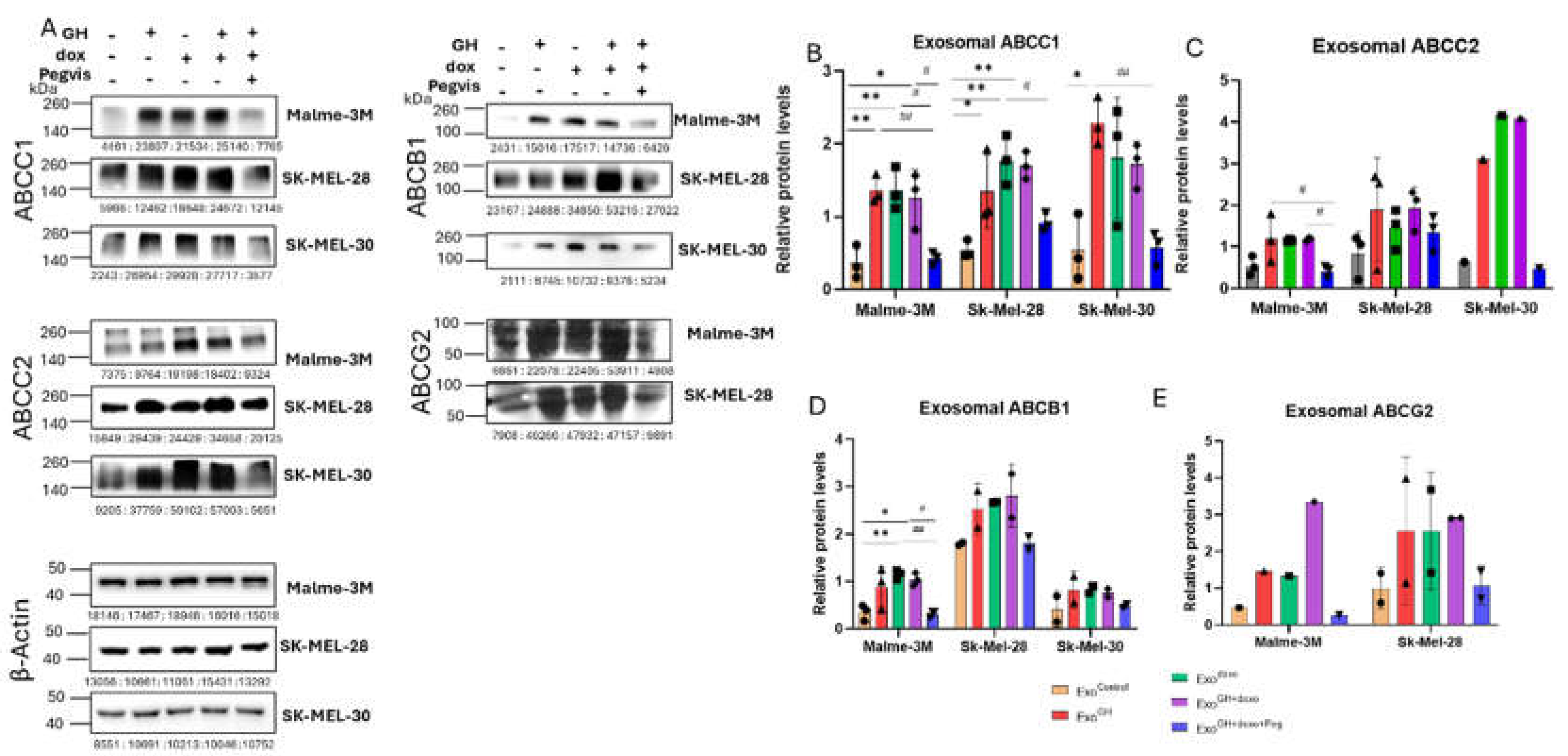 Preprints 110716 g002