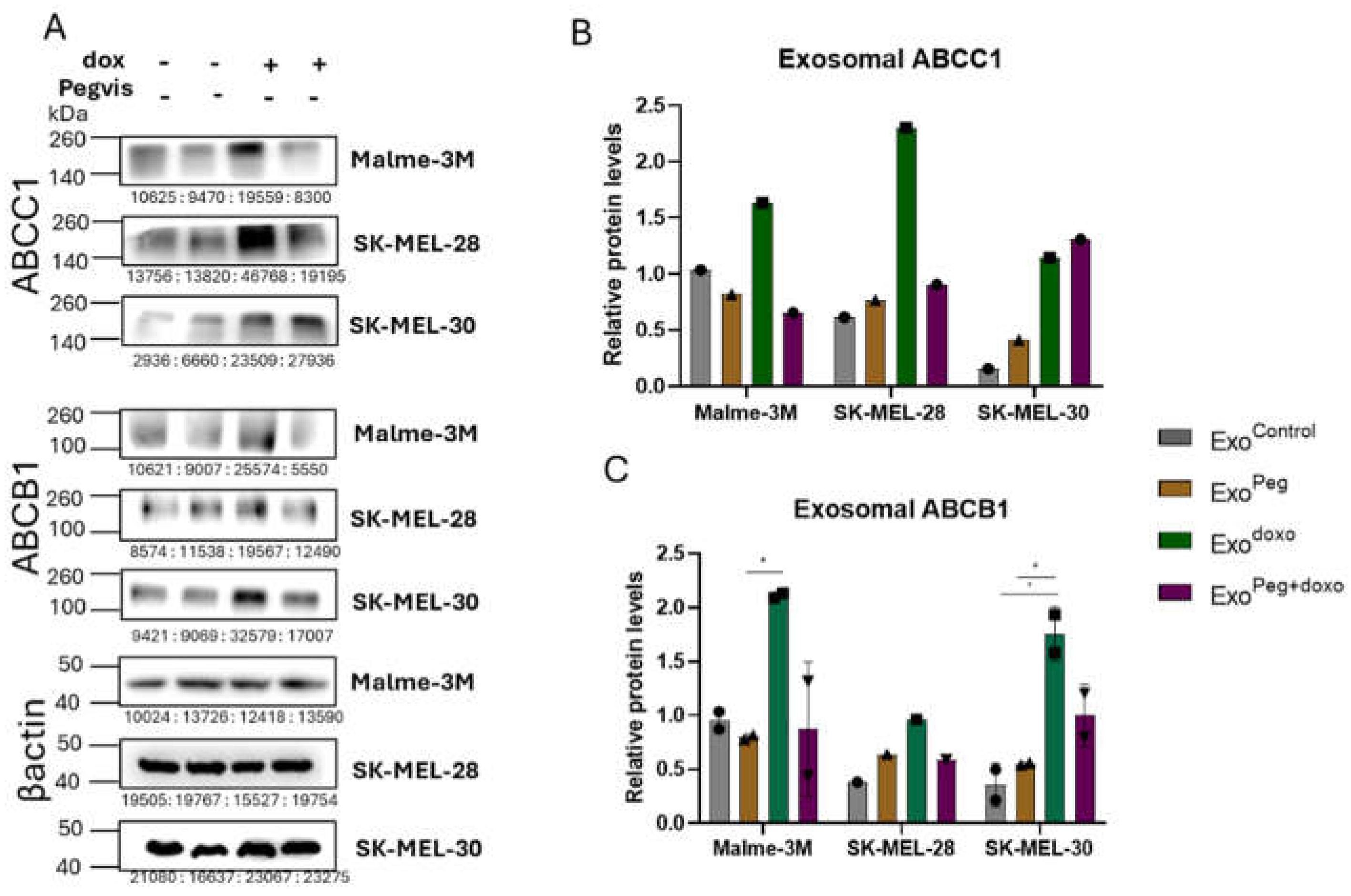 Preprints 110716 g003