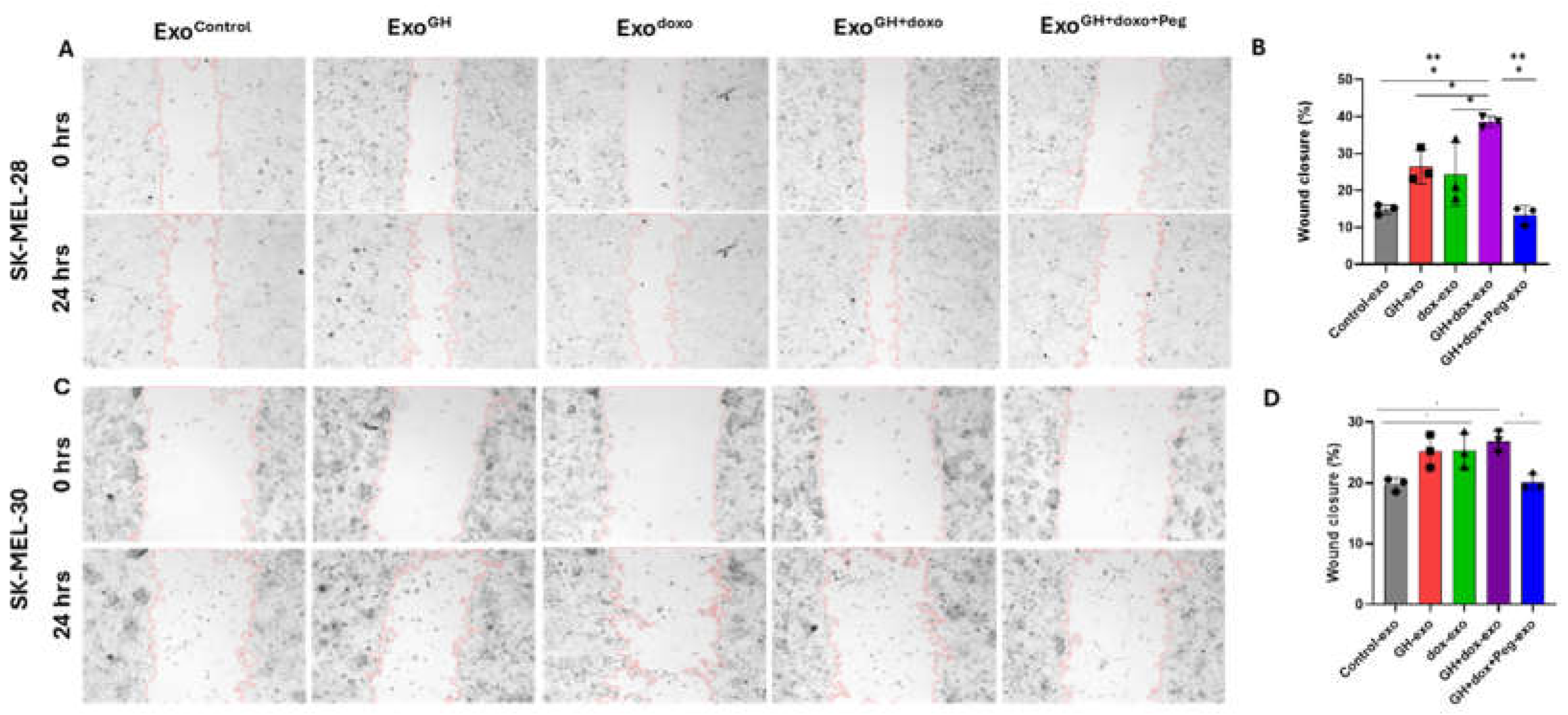 Preprints 110716 g004