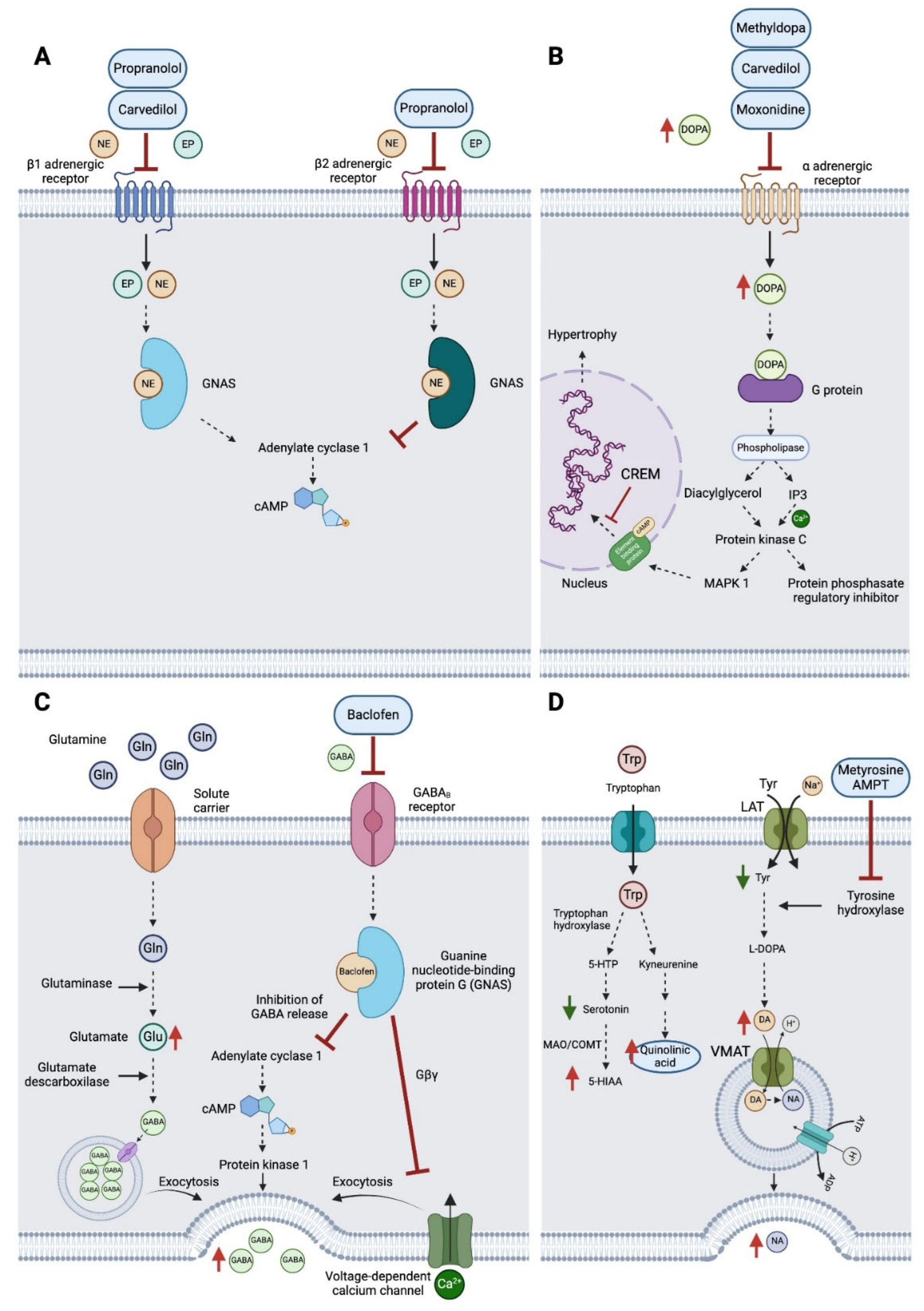 Preprints 110008 g004