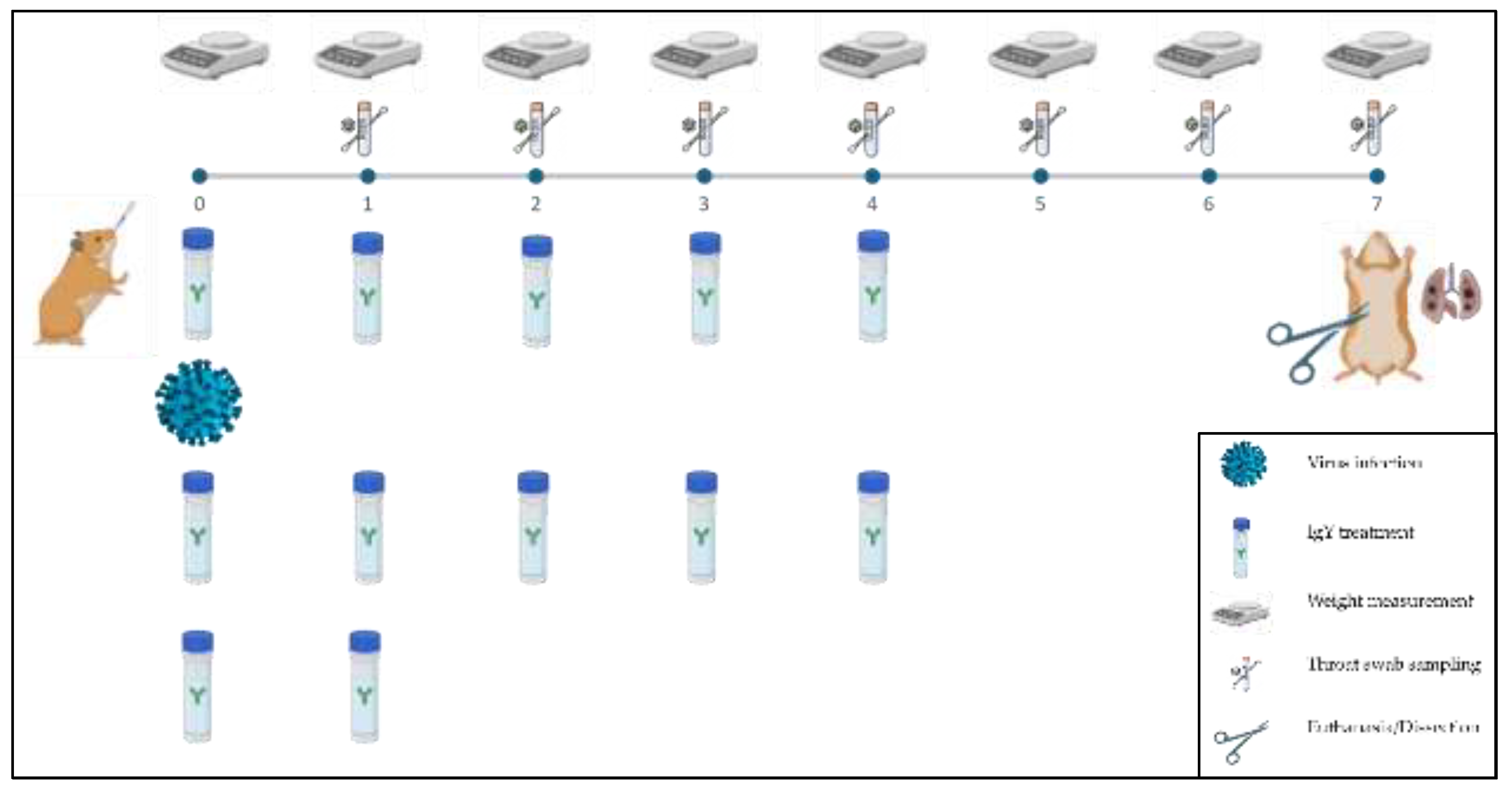 Preprints 120772 g001