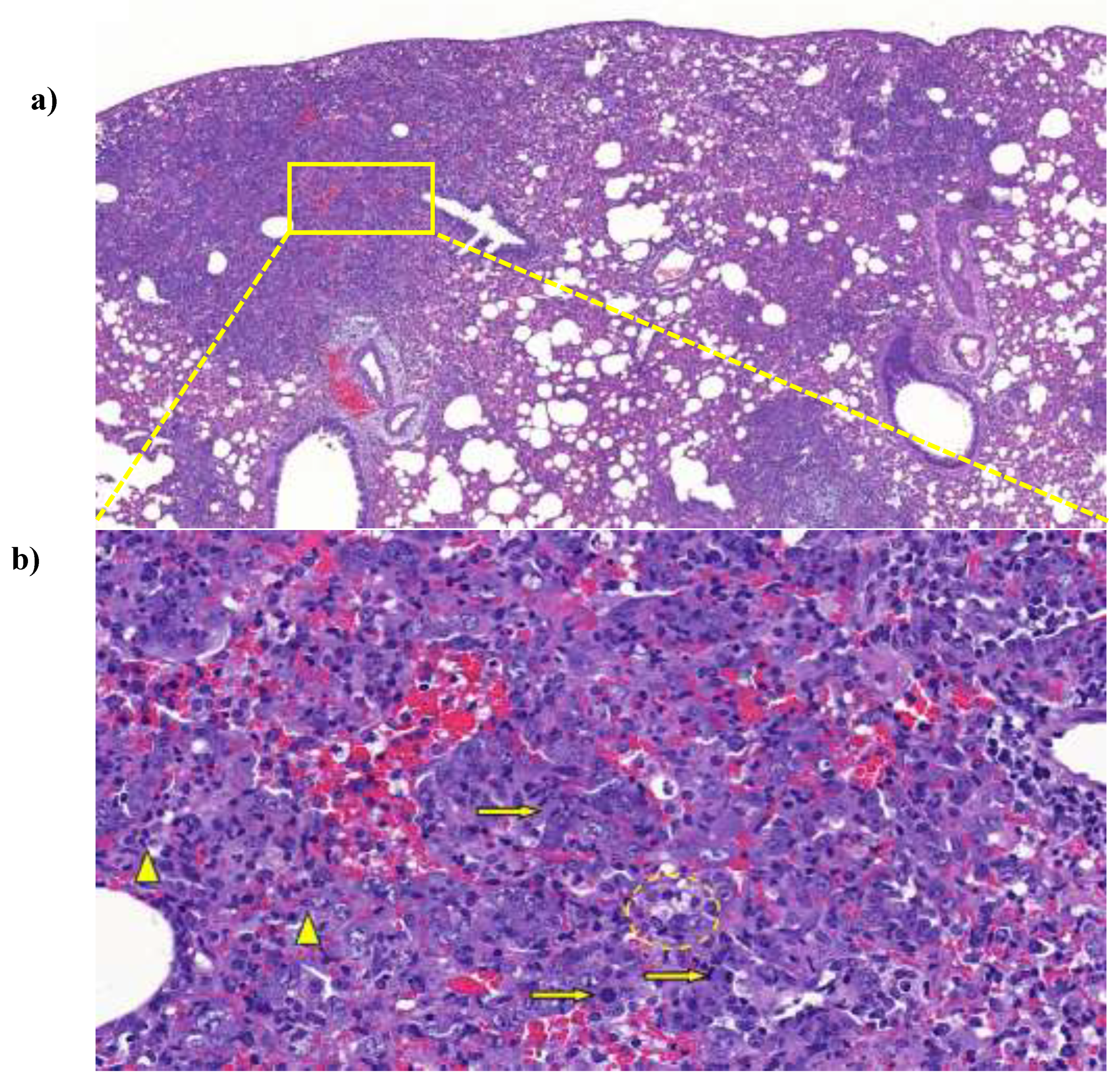 Preprints 120772 g005