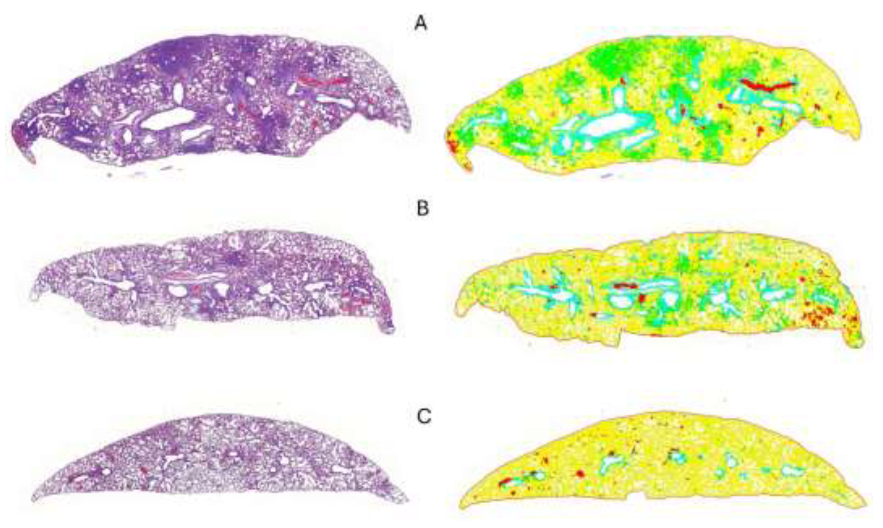 Preprints 120772 g006