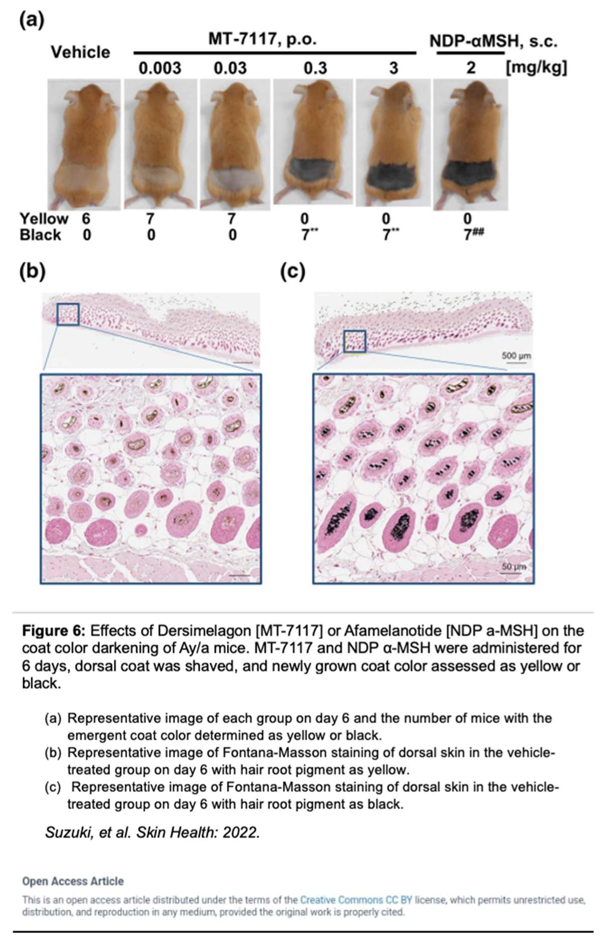 Preprints 86446 i009