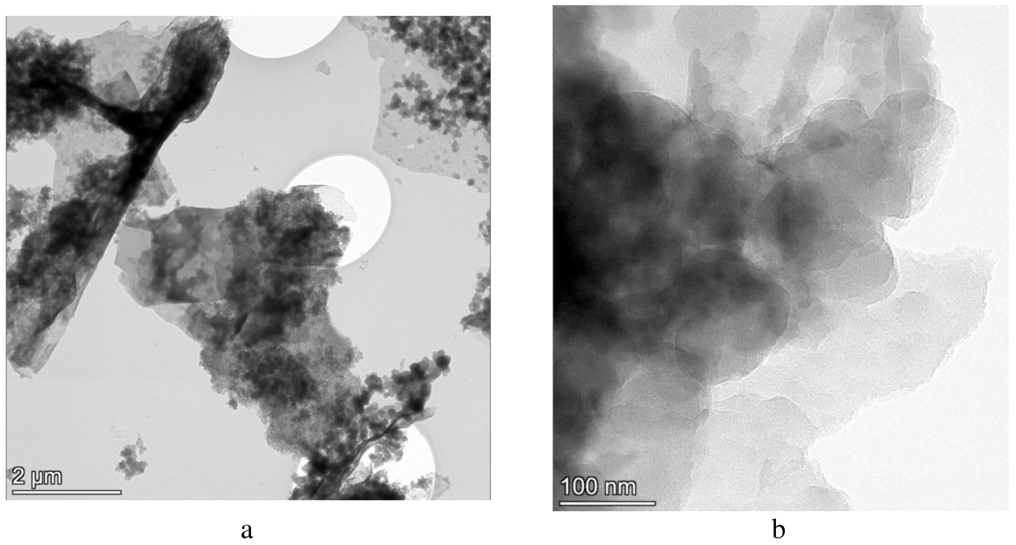 Preprints 90498 g001