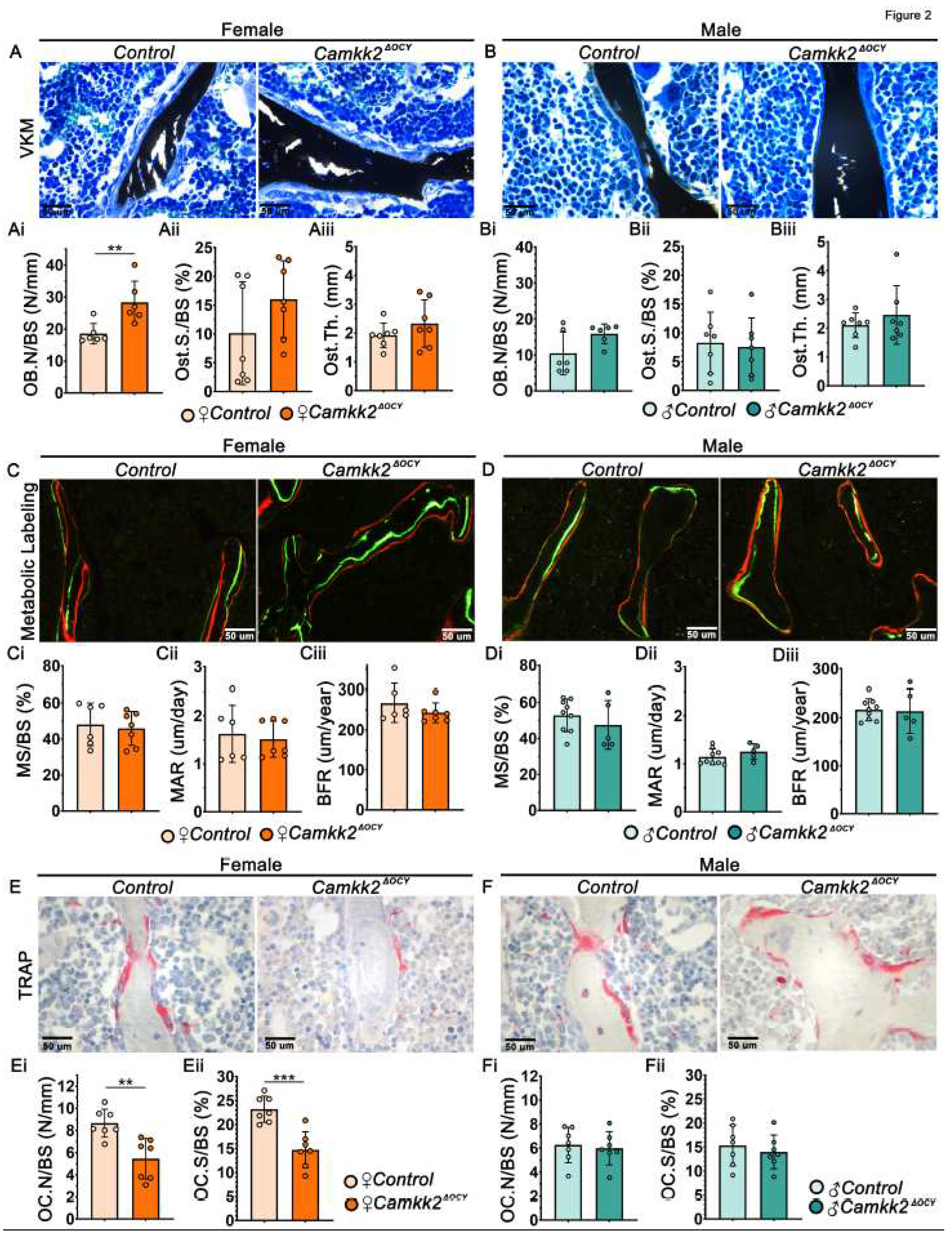 Preprints 68069 g002