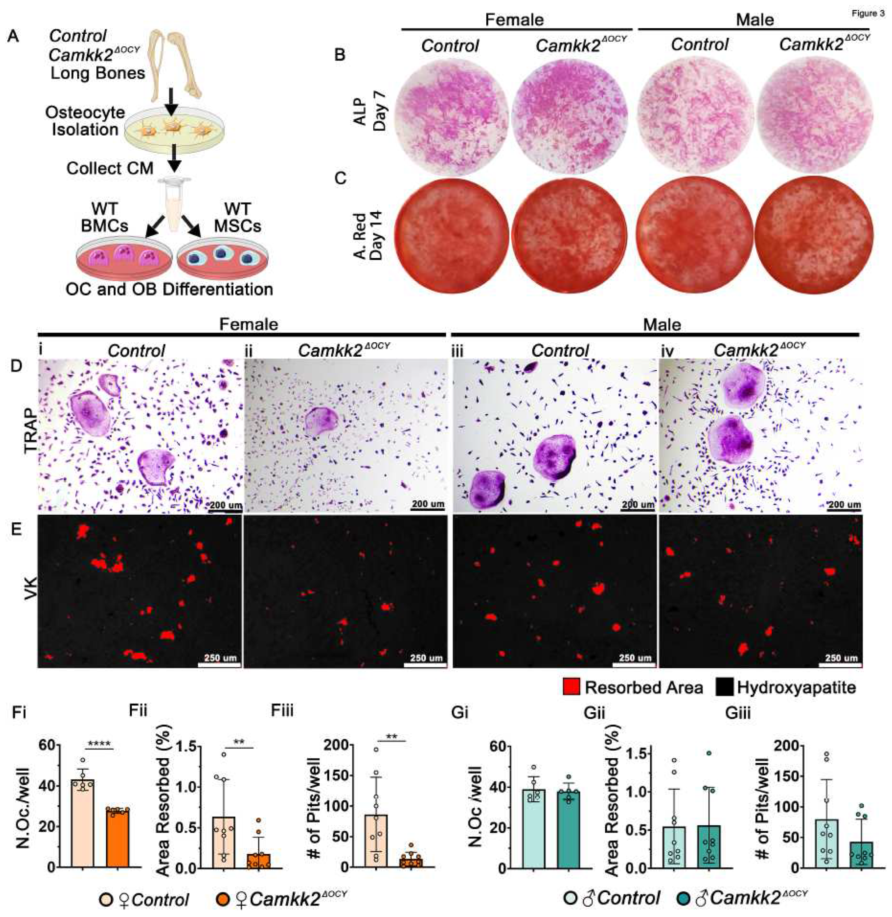 Preprints 68069 g003