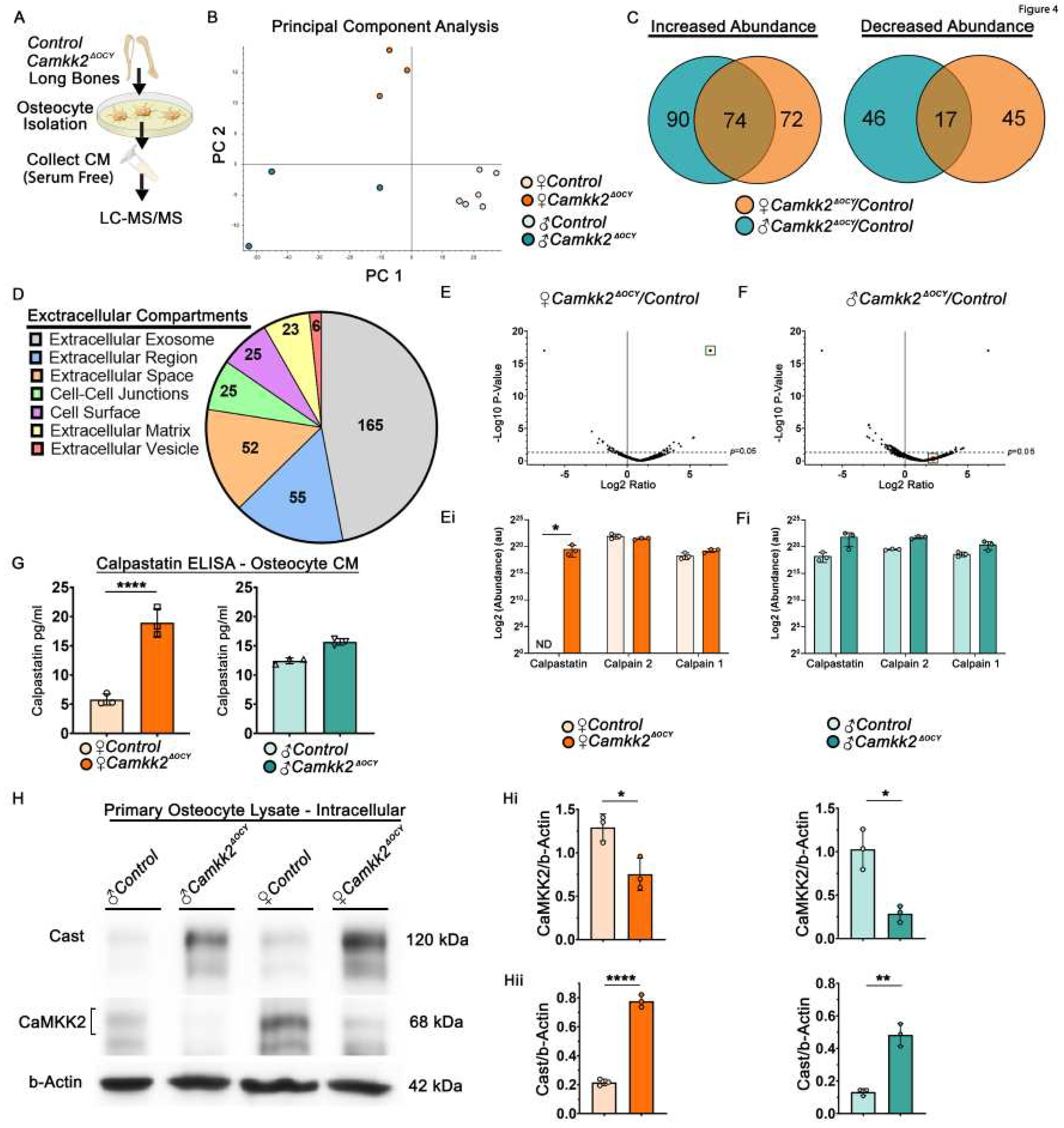 Preprints 68069 g004