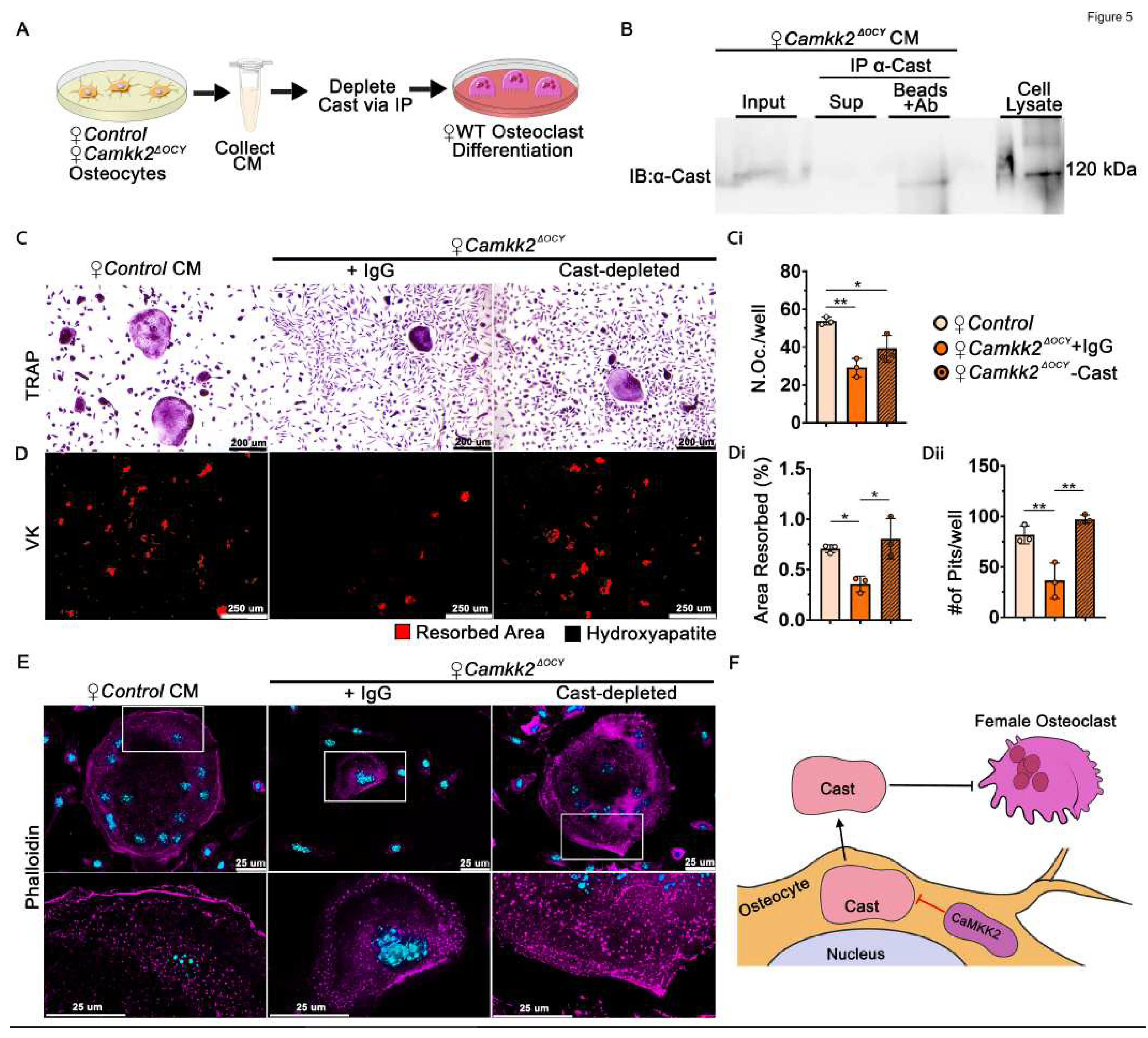 Preprints 68069 g005