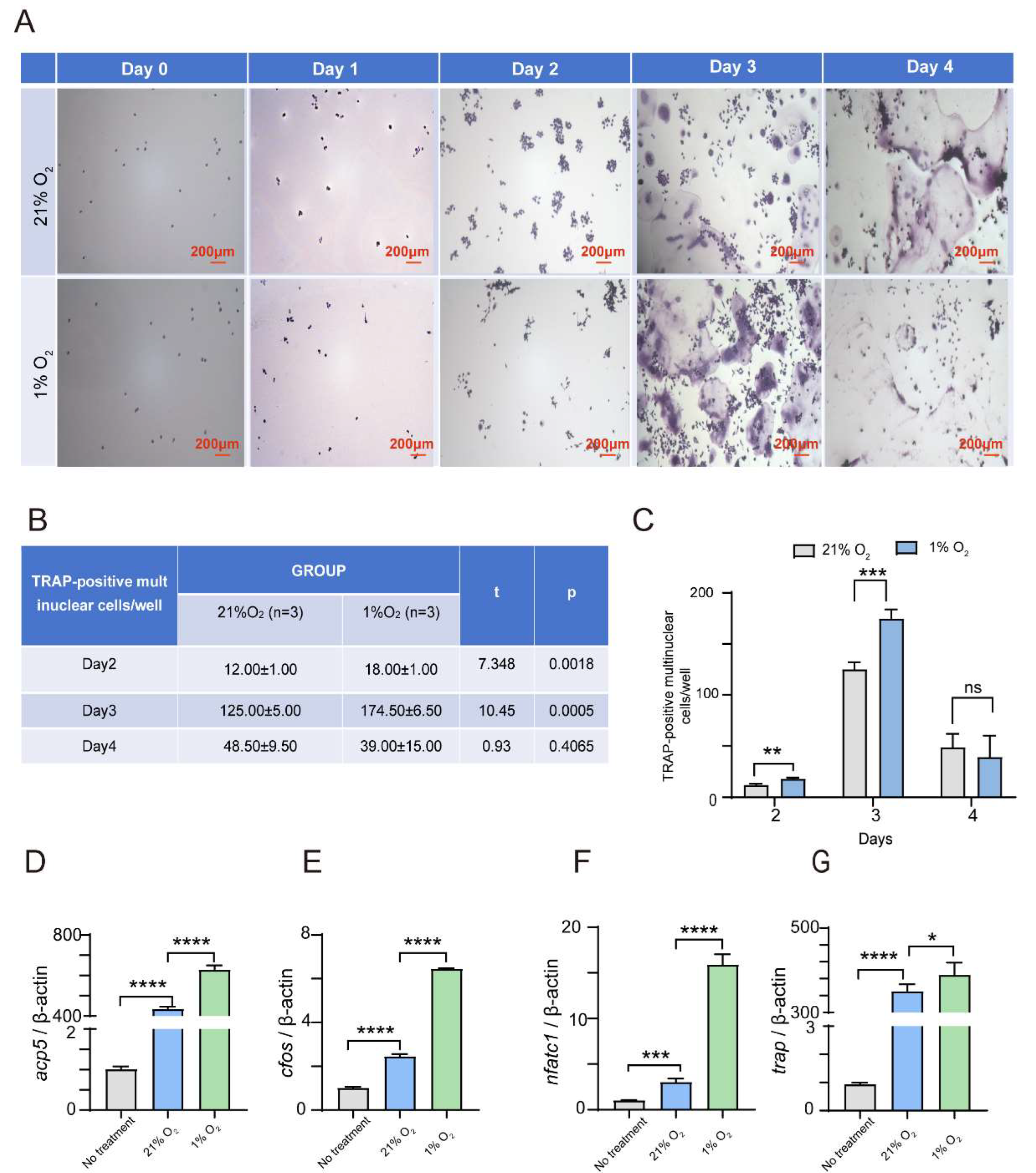 Preprints 121517 g001