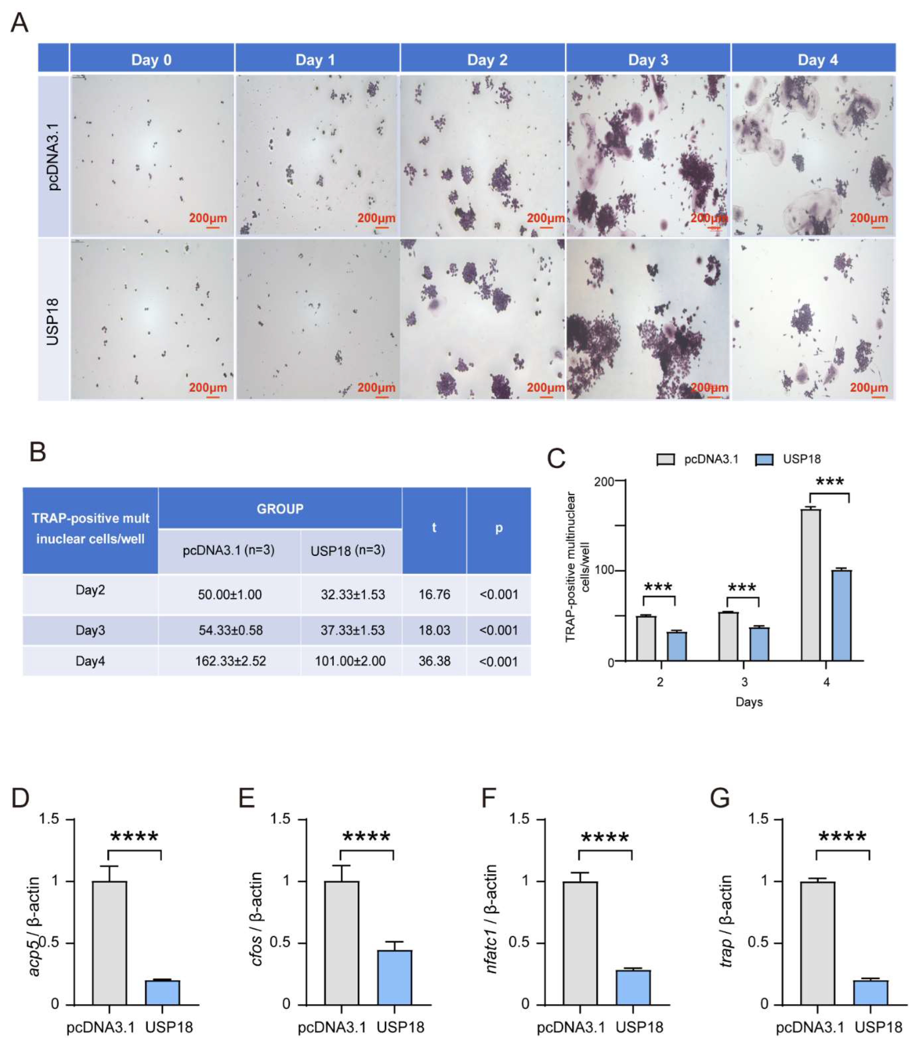 Preprints 121517 g003