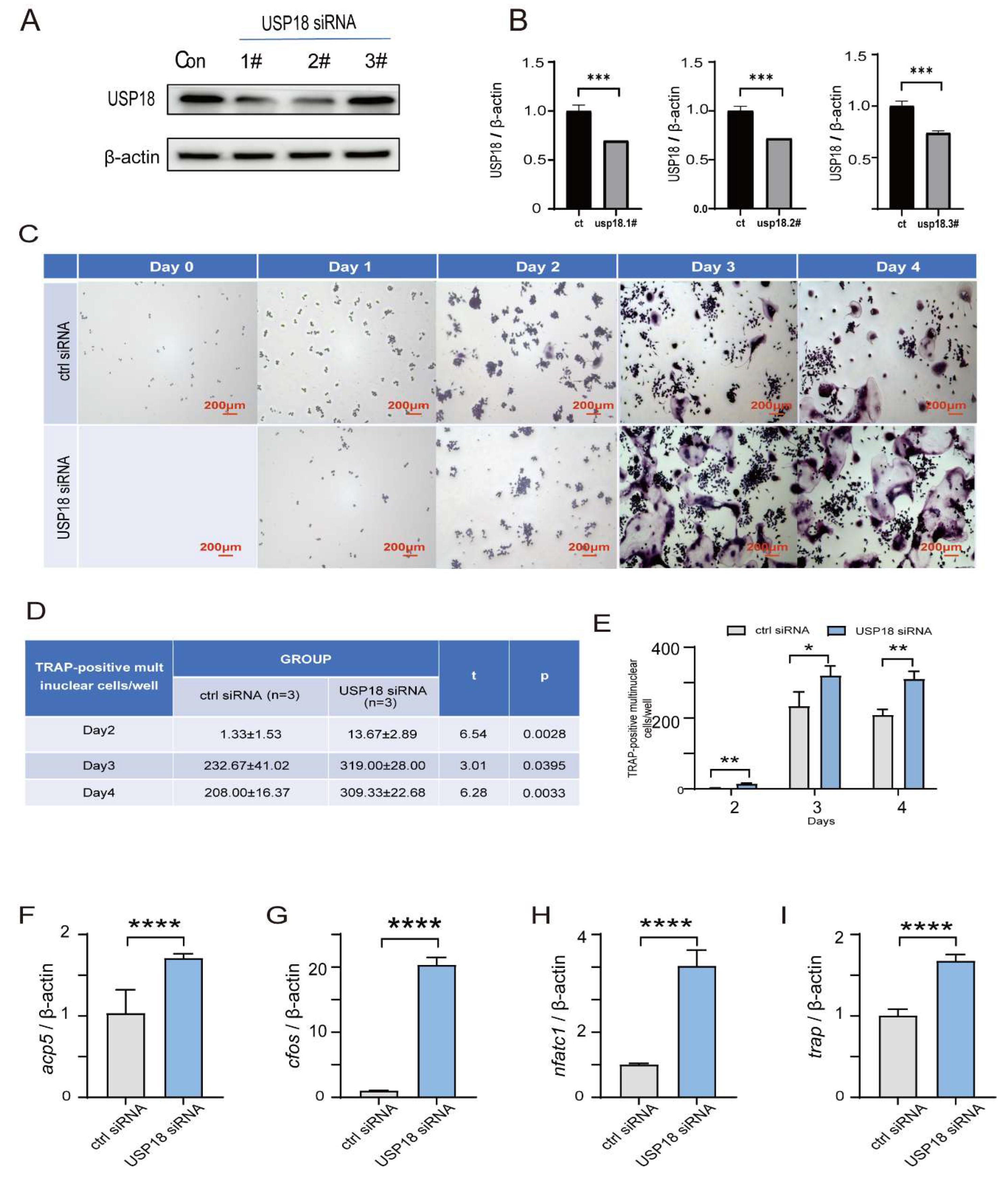 Preprints 121517 g004