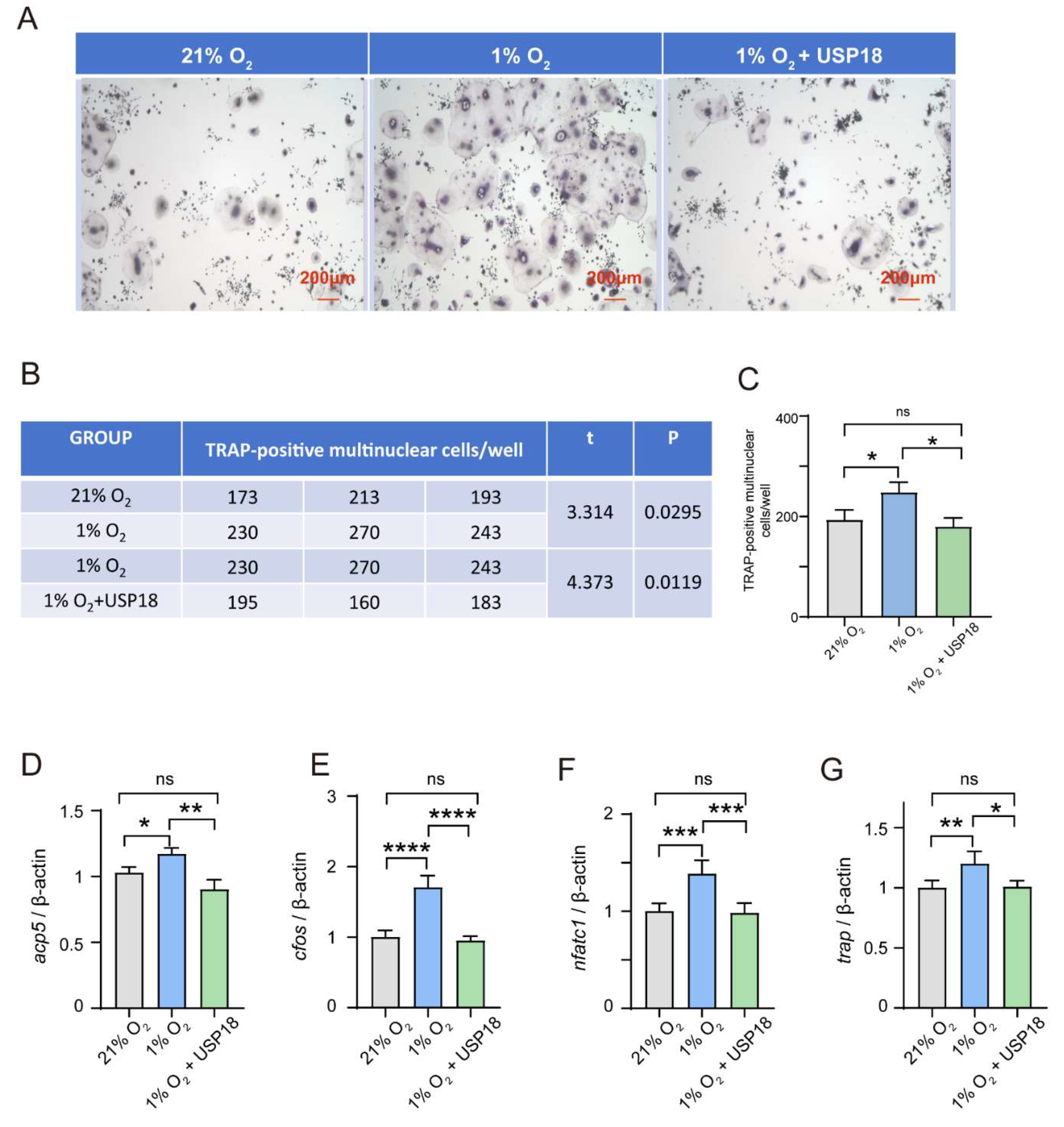 Preprints 121517 g005