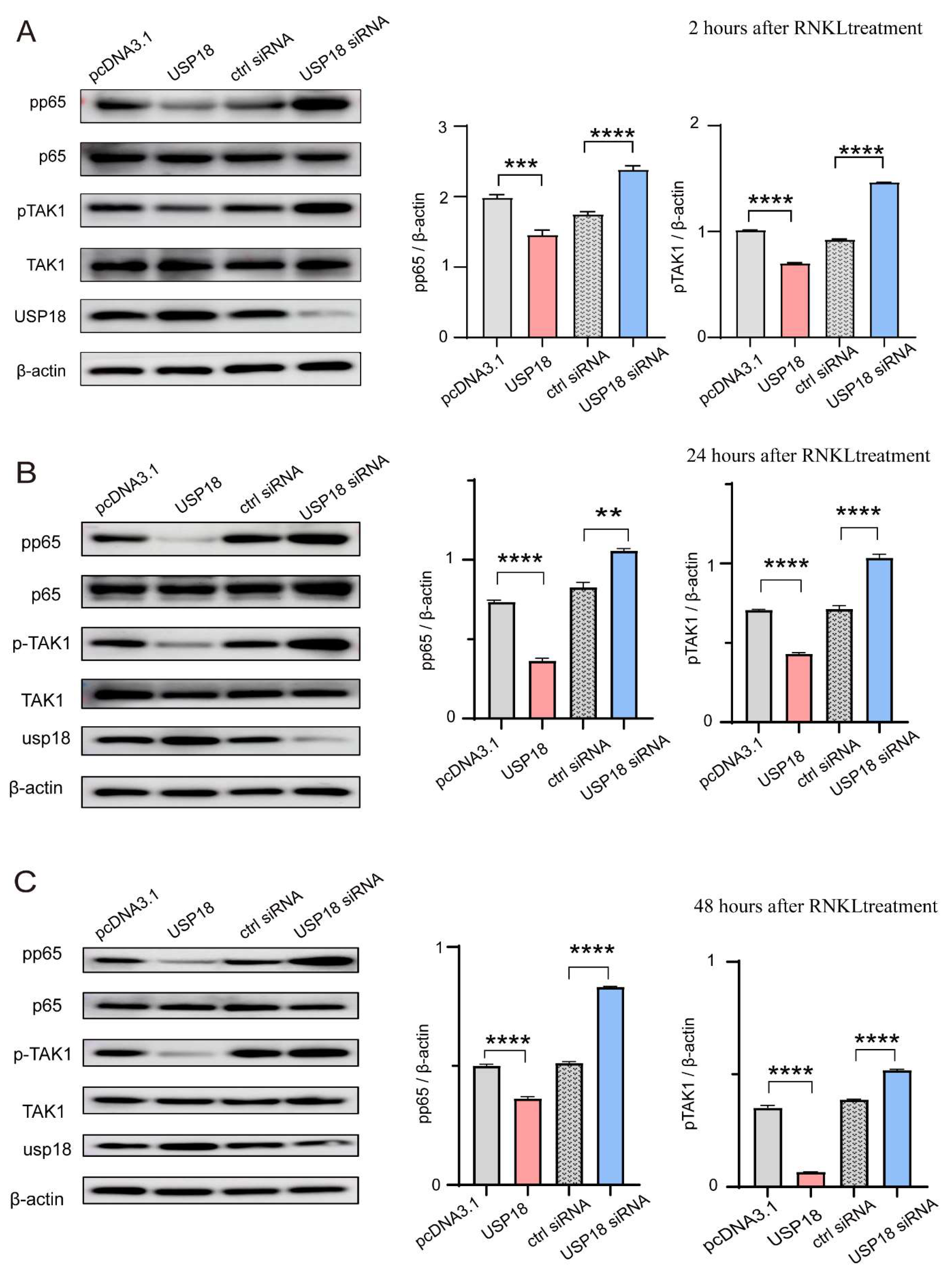 Preprints 121517 g006