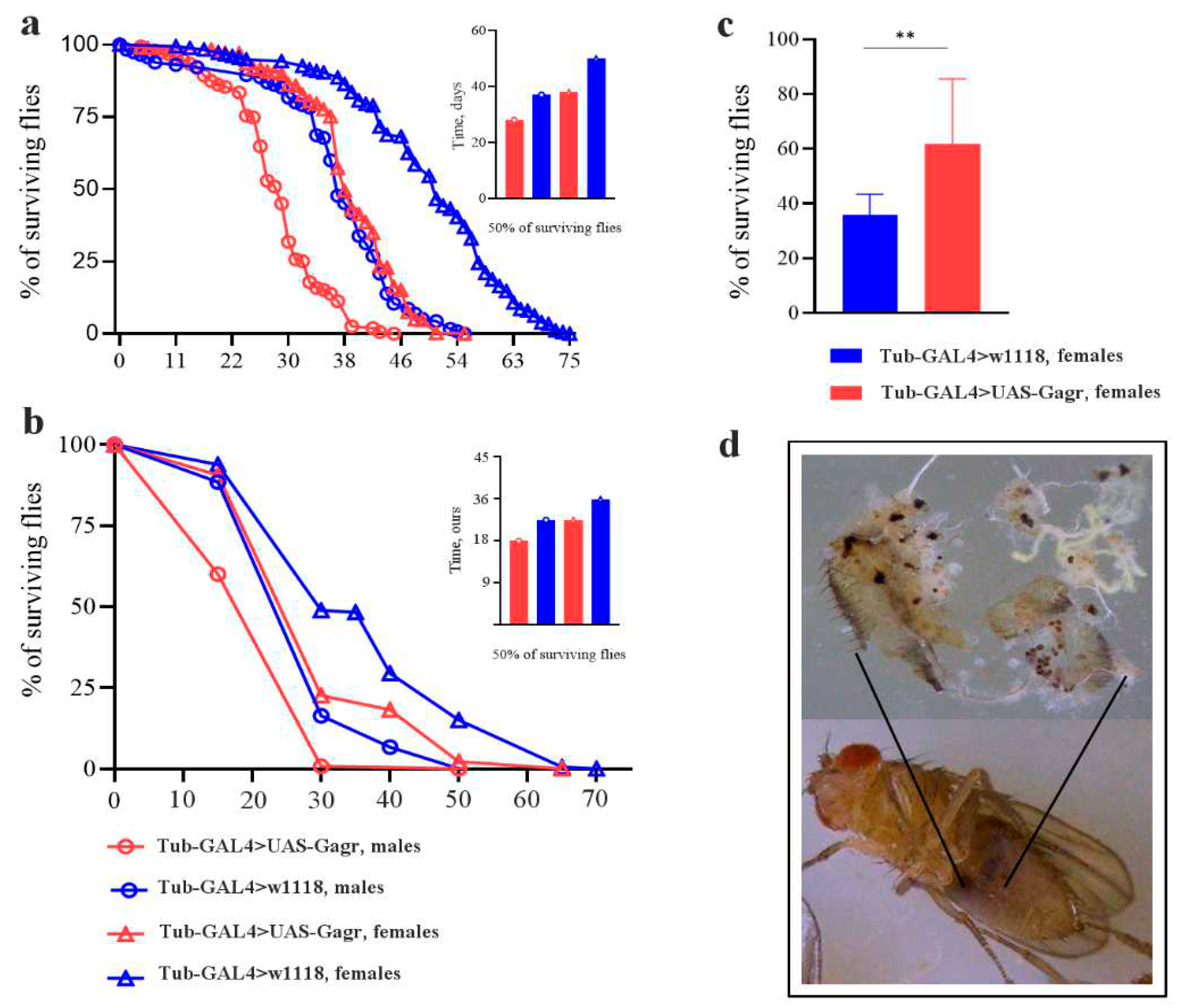 Preprints 88426 g001