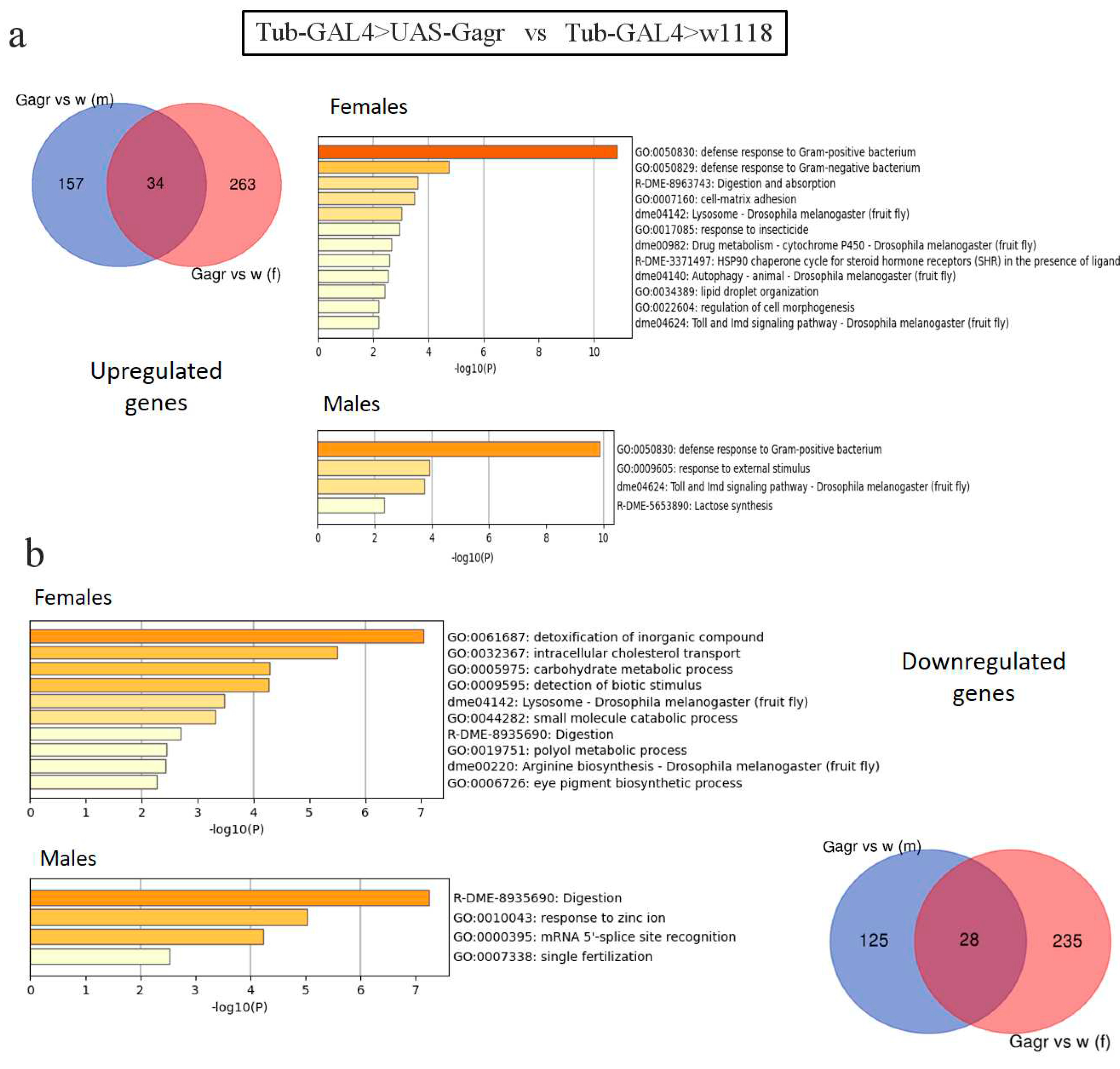 Preprints 88426 g002