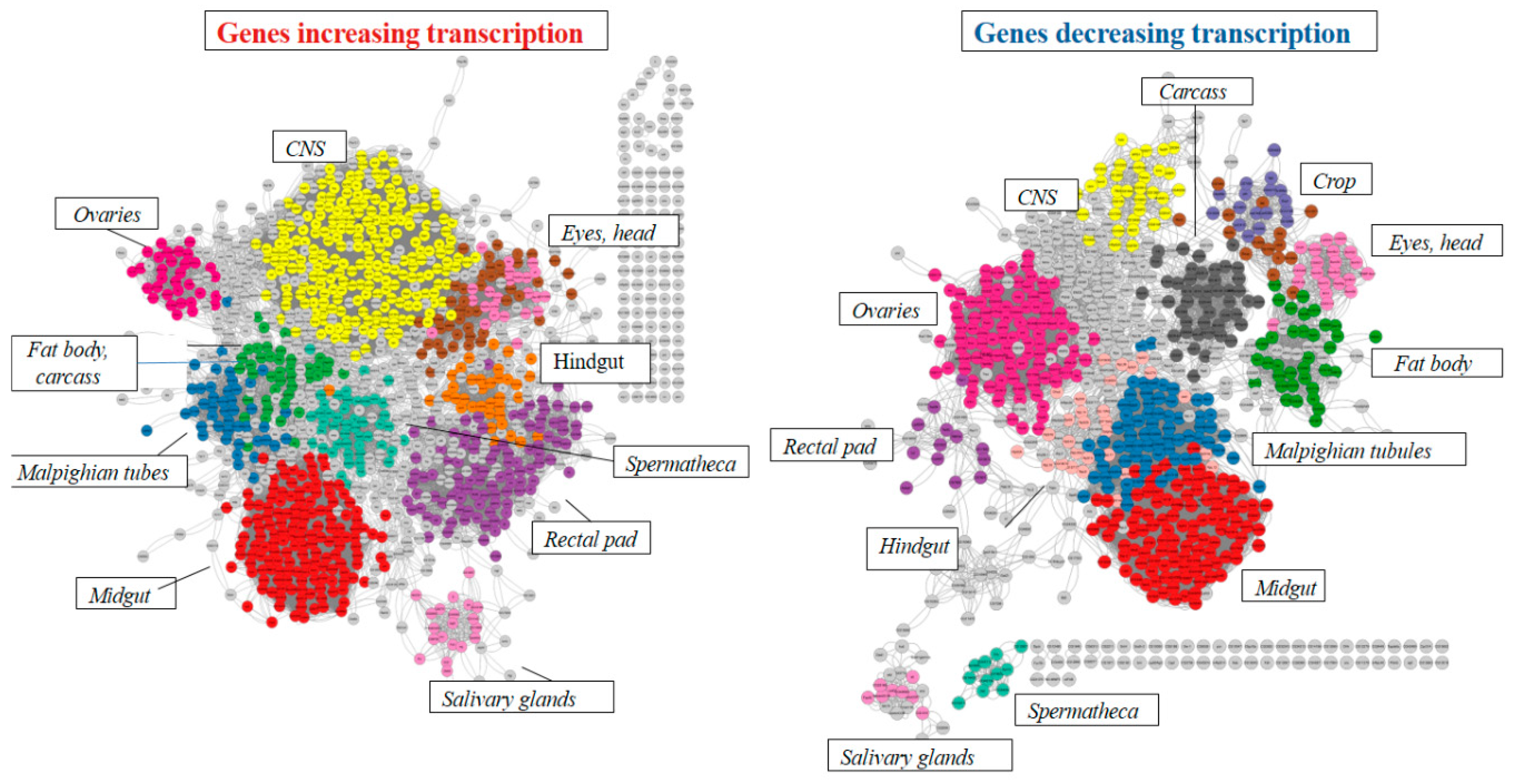 Preprints 88426 g005