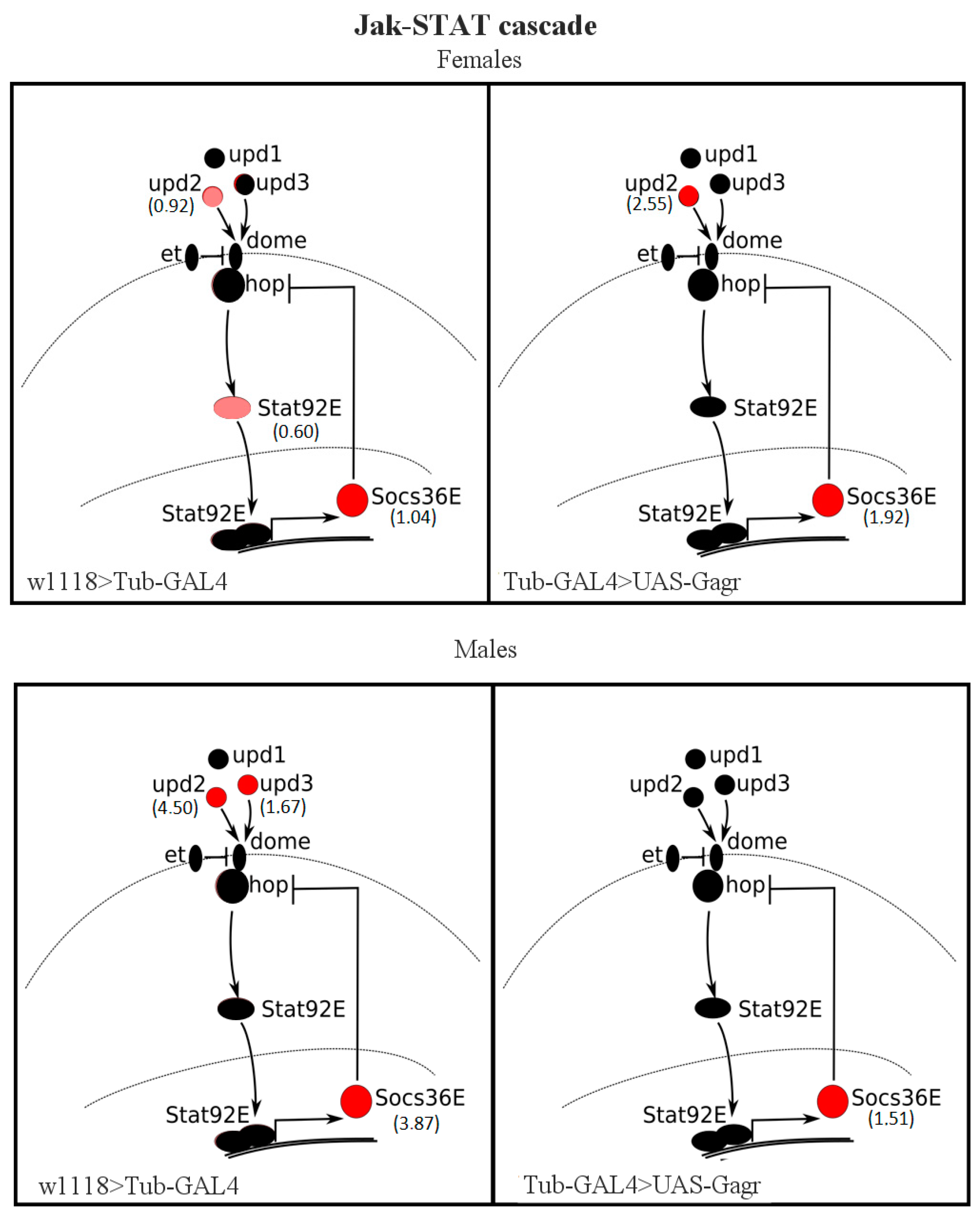 Preprints 88426 g007