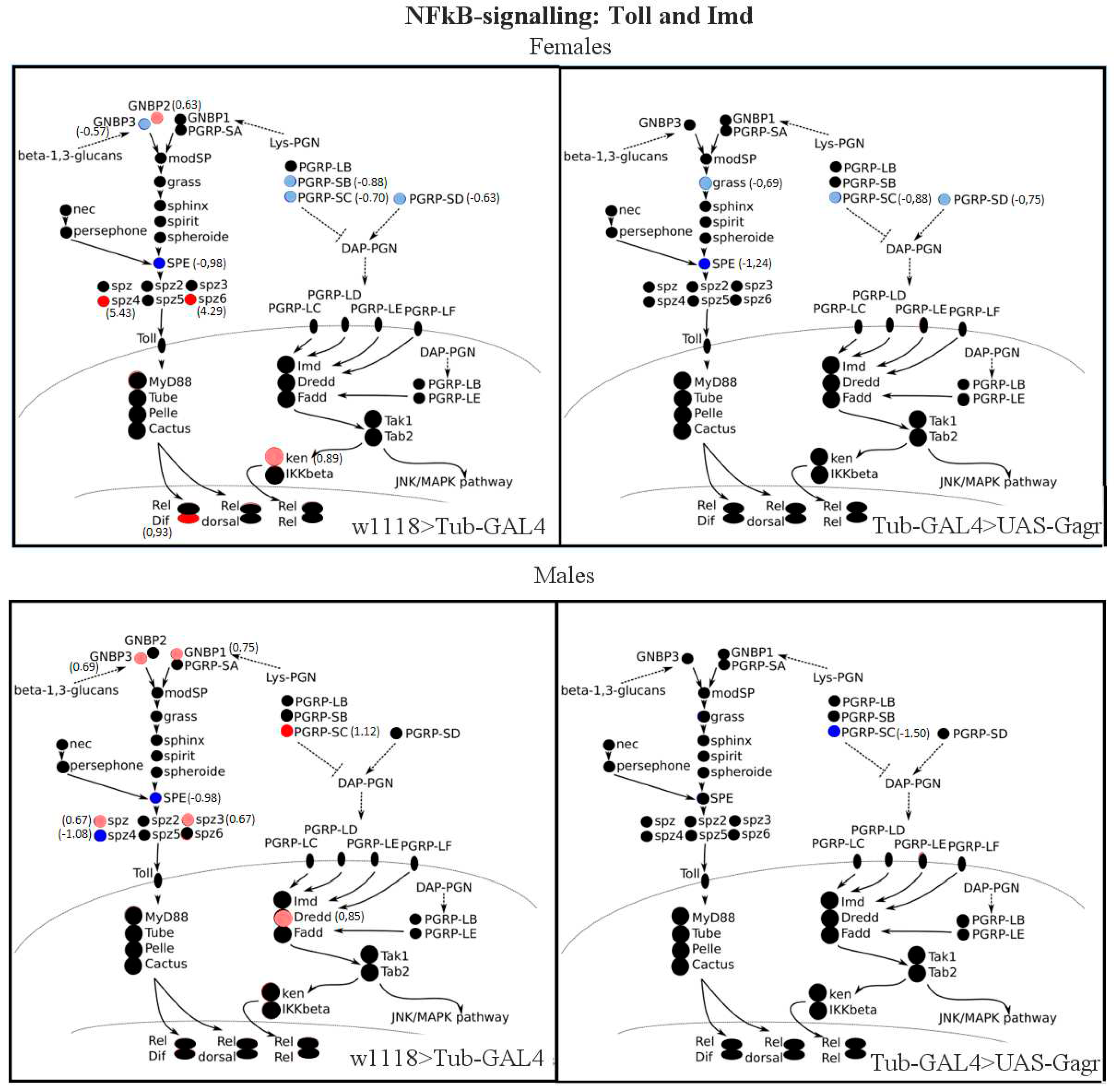 Preprints 88426 g008