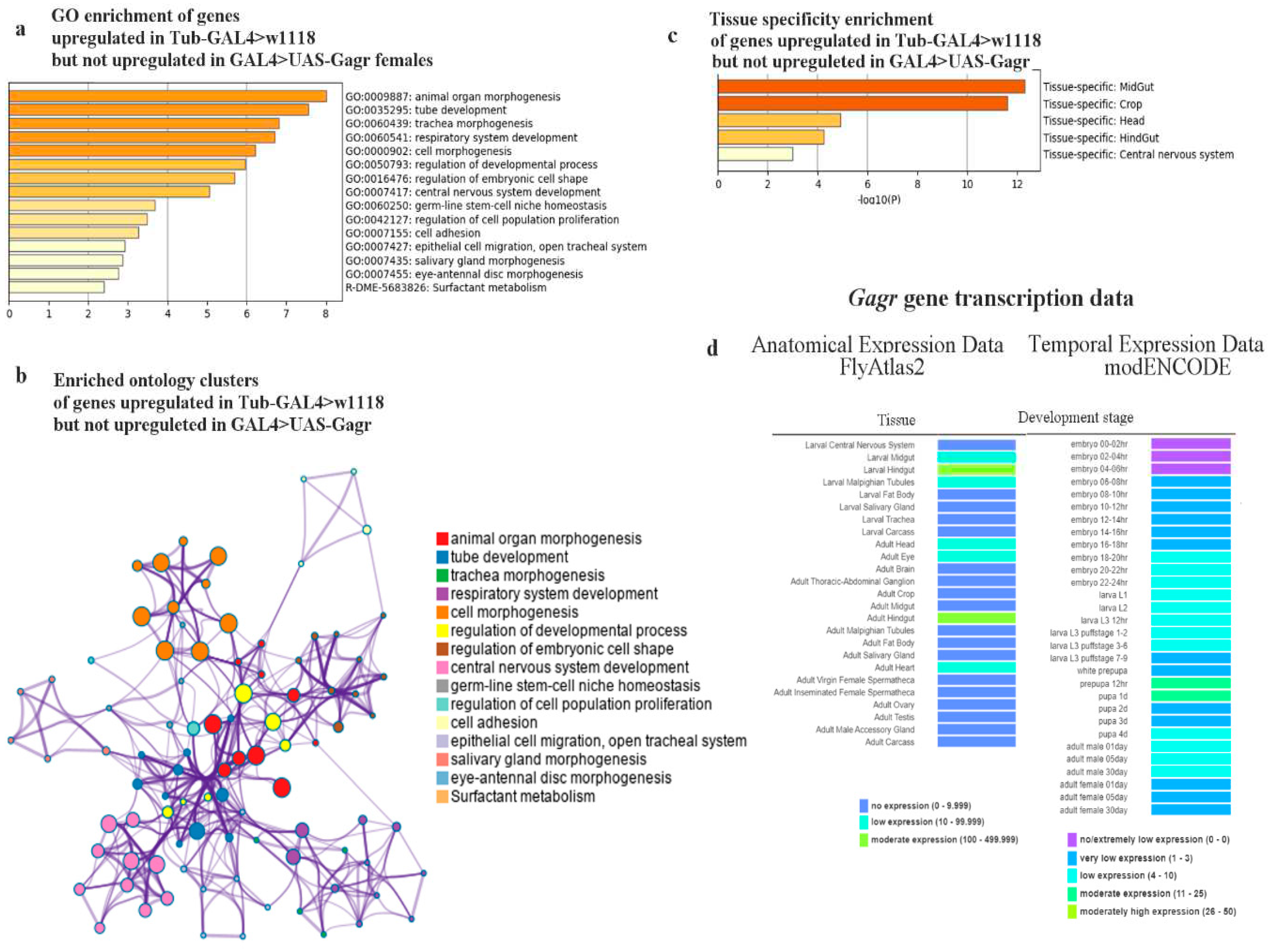 Preprints 88426 g009