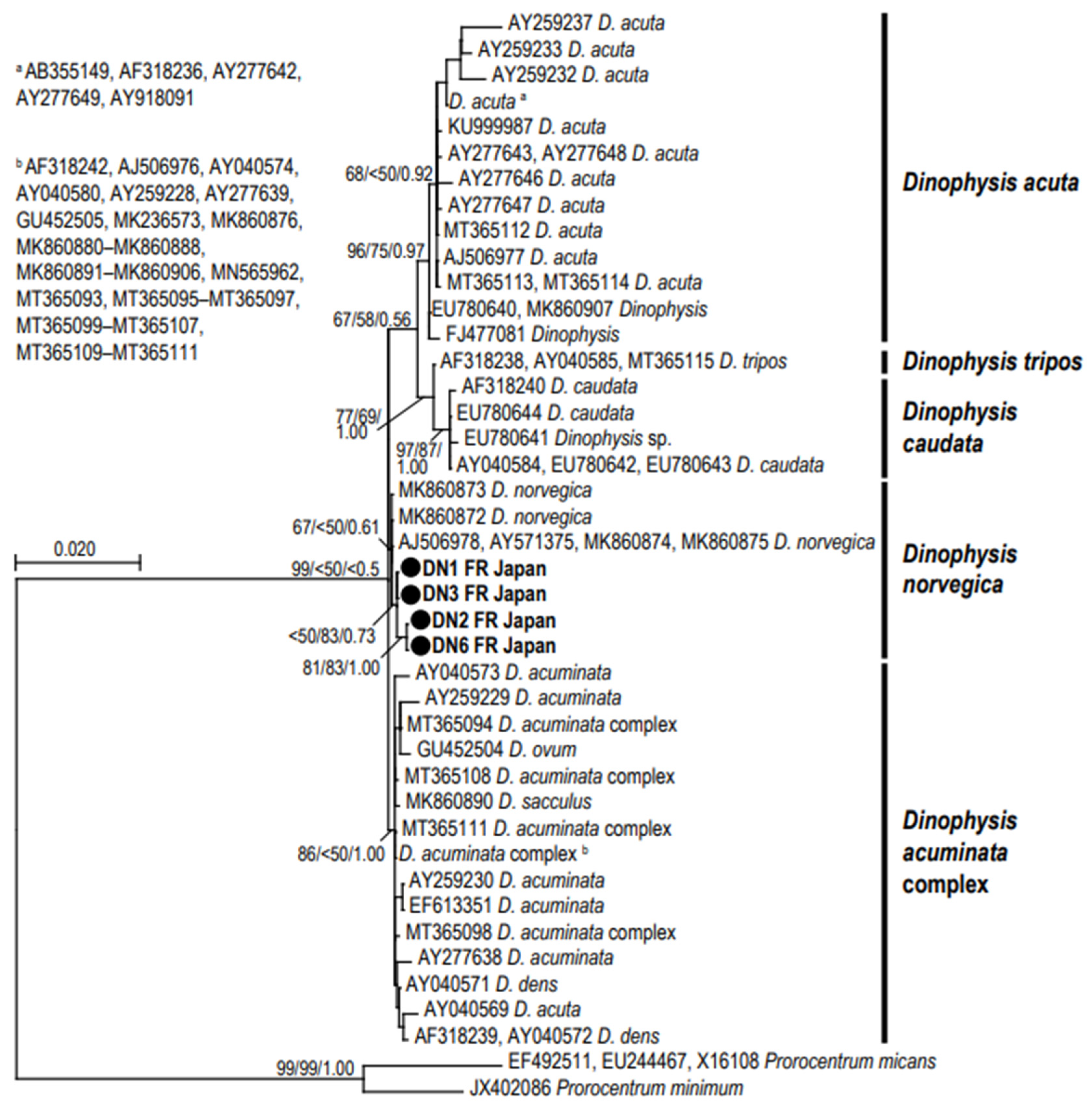 Preprints 69256 g002