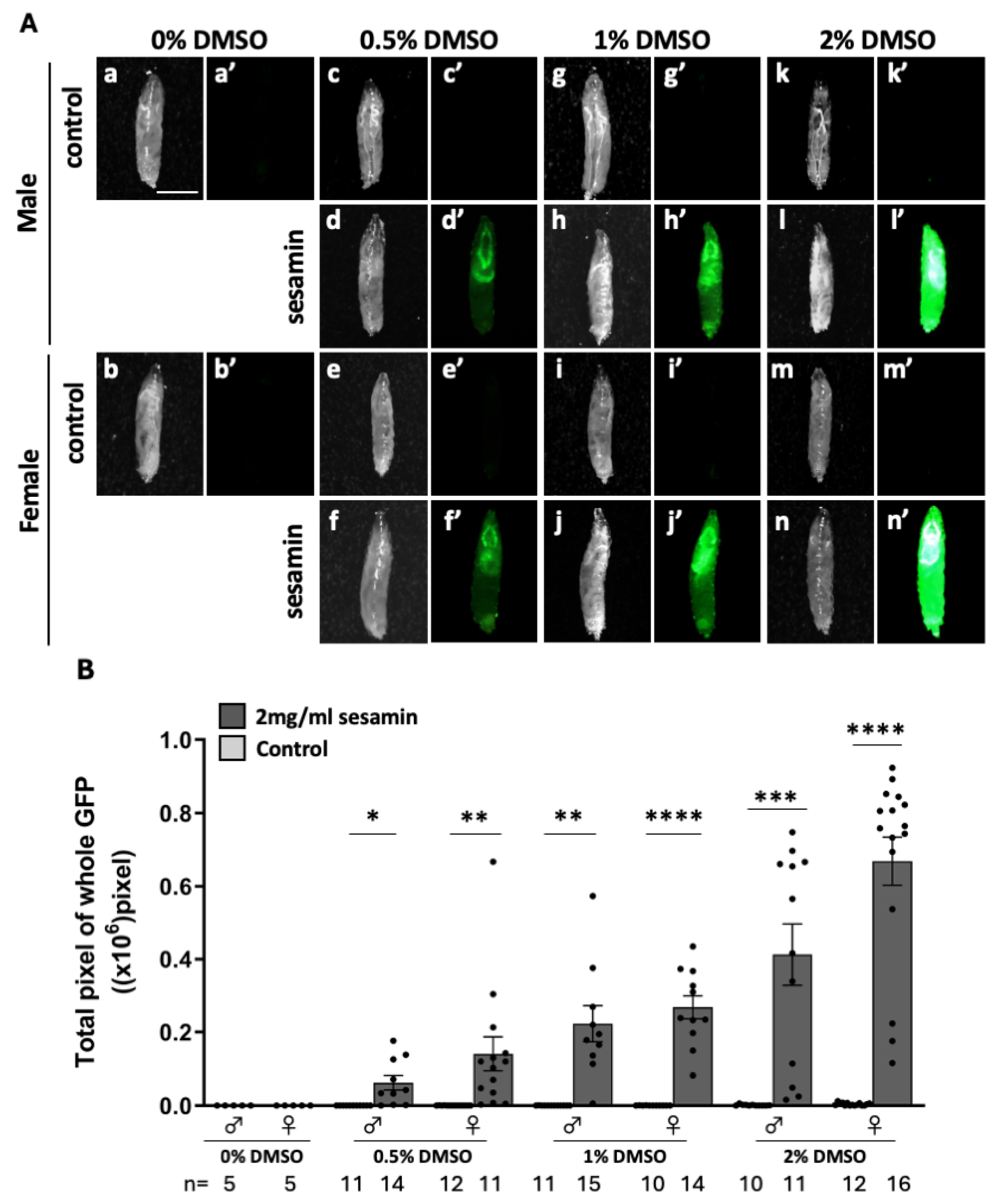 Preprints 107002 g001