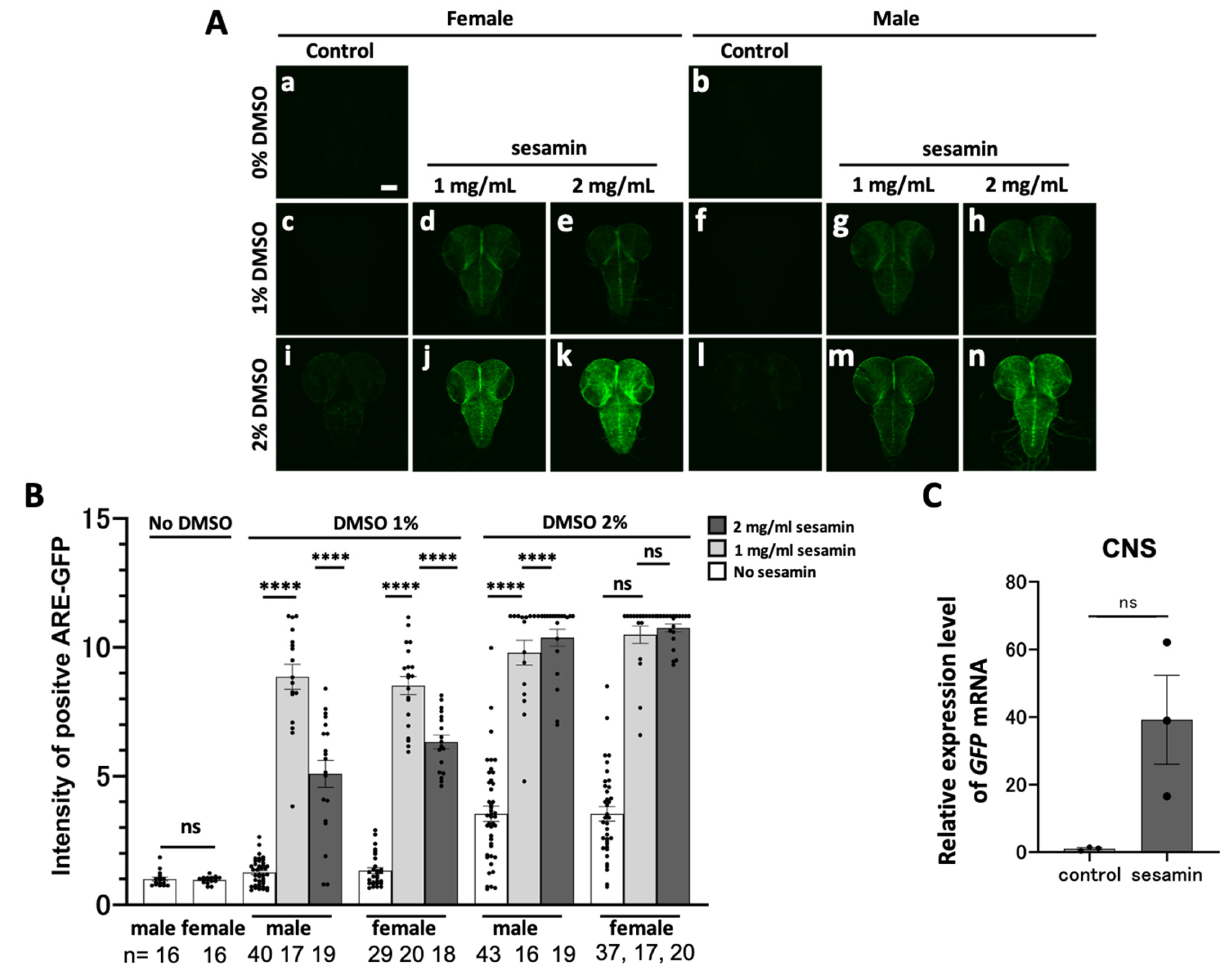 Preprints 107002 g002a