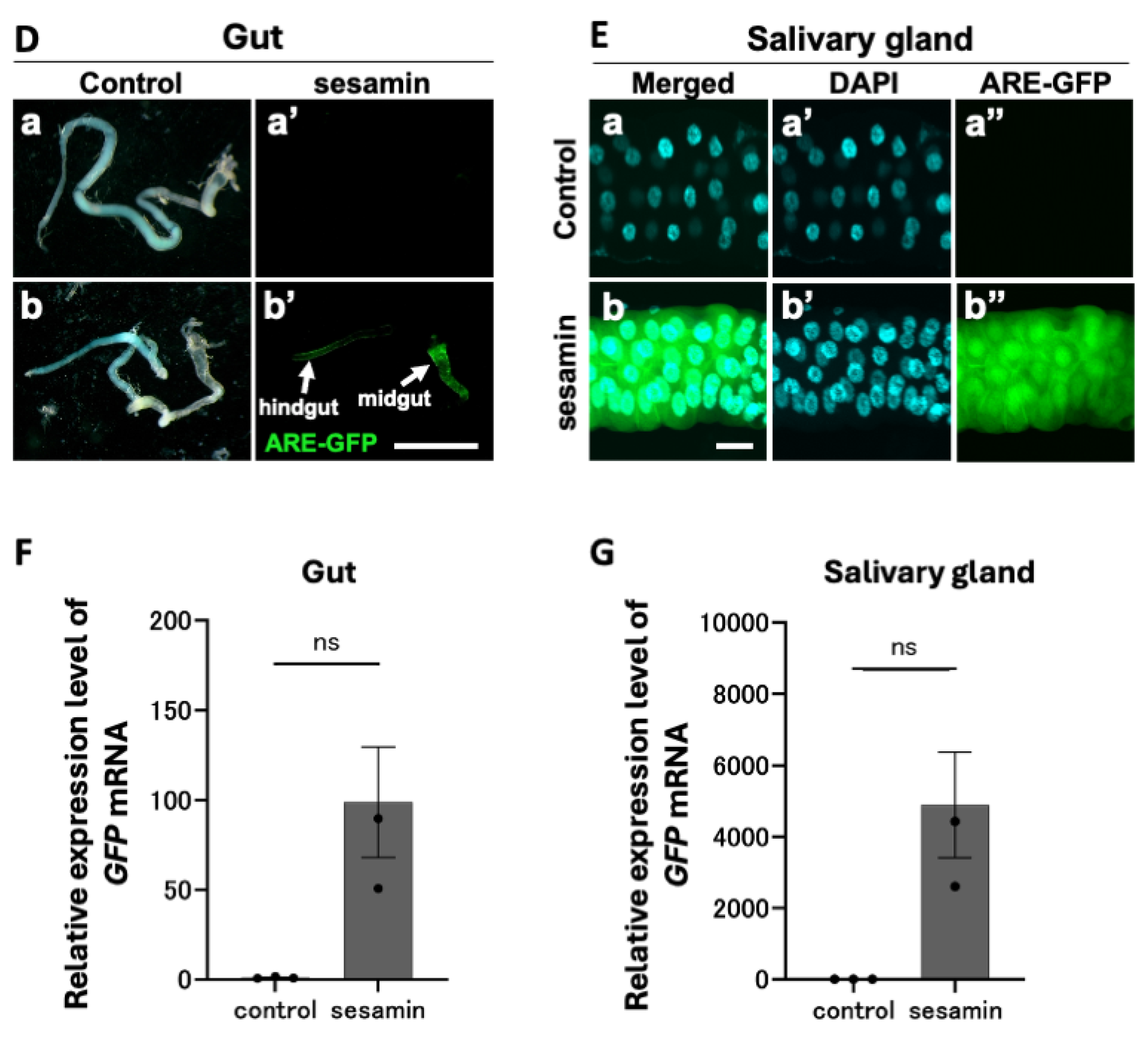 Preprints 107002 g002b