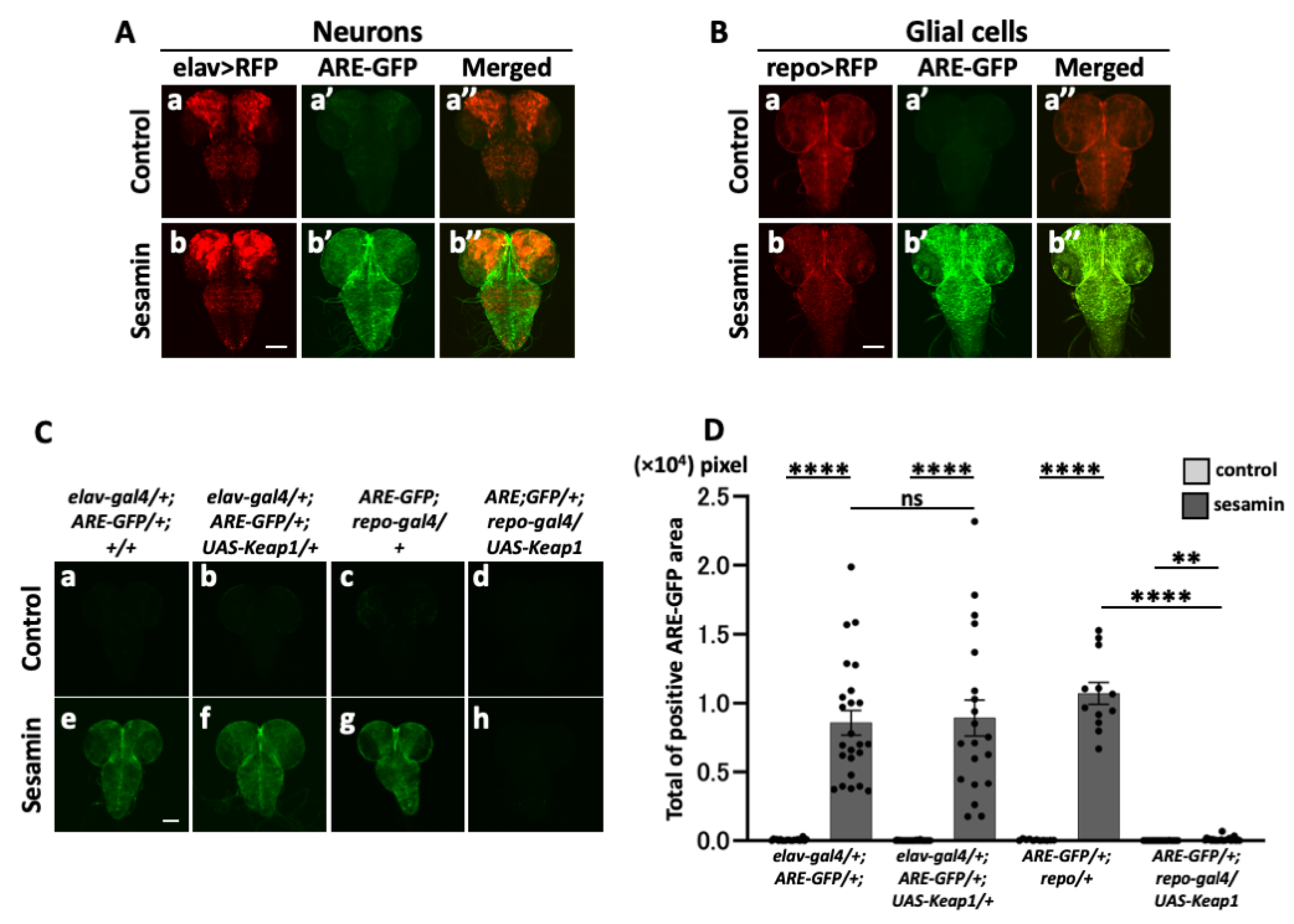 Preprints 107002 g003