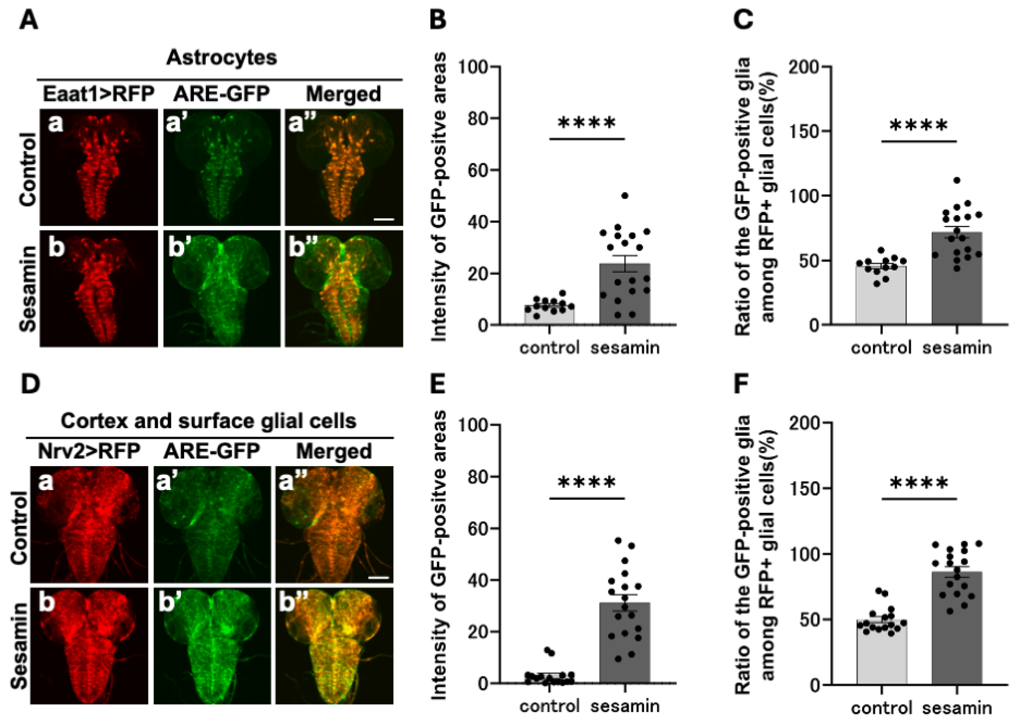 Preprints 107002 g004