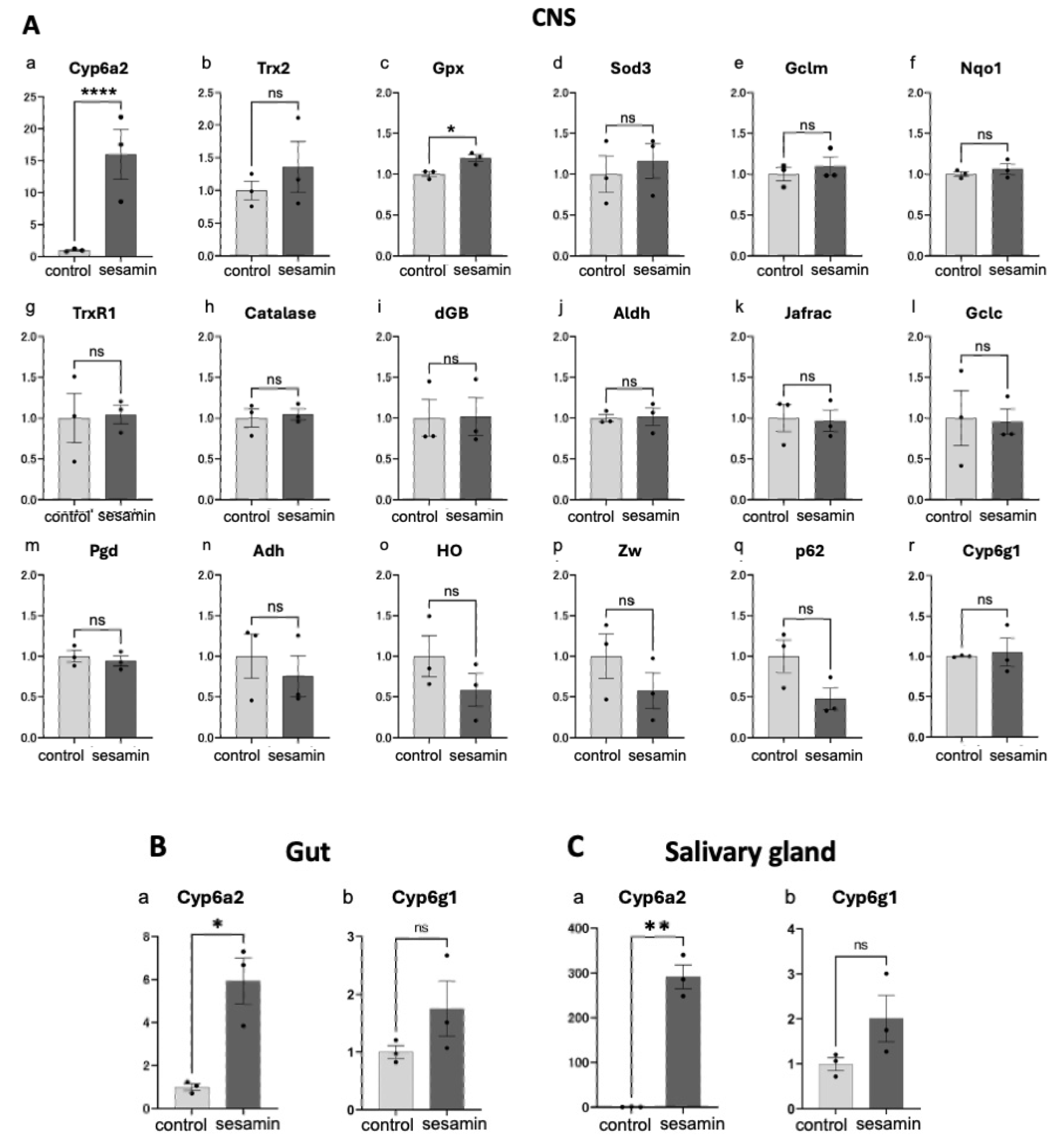 Preprints 107002 g005