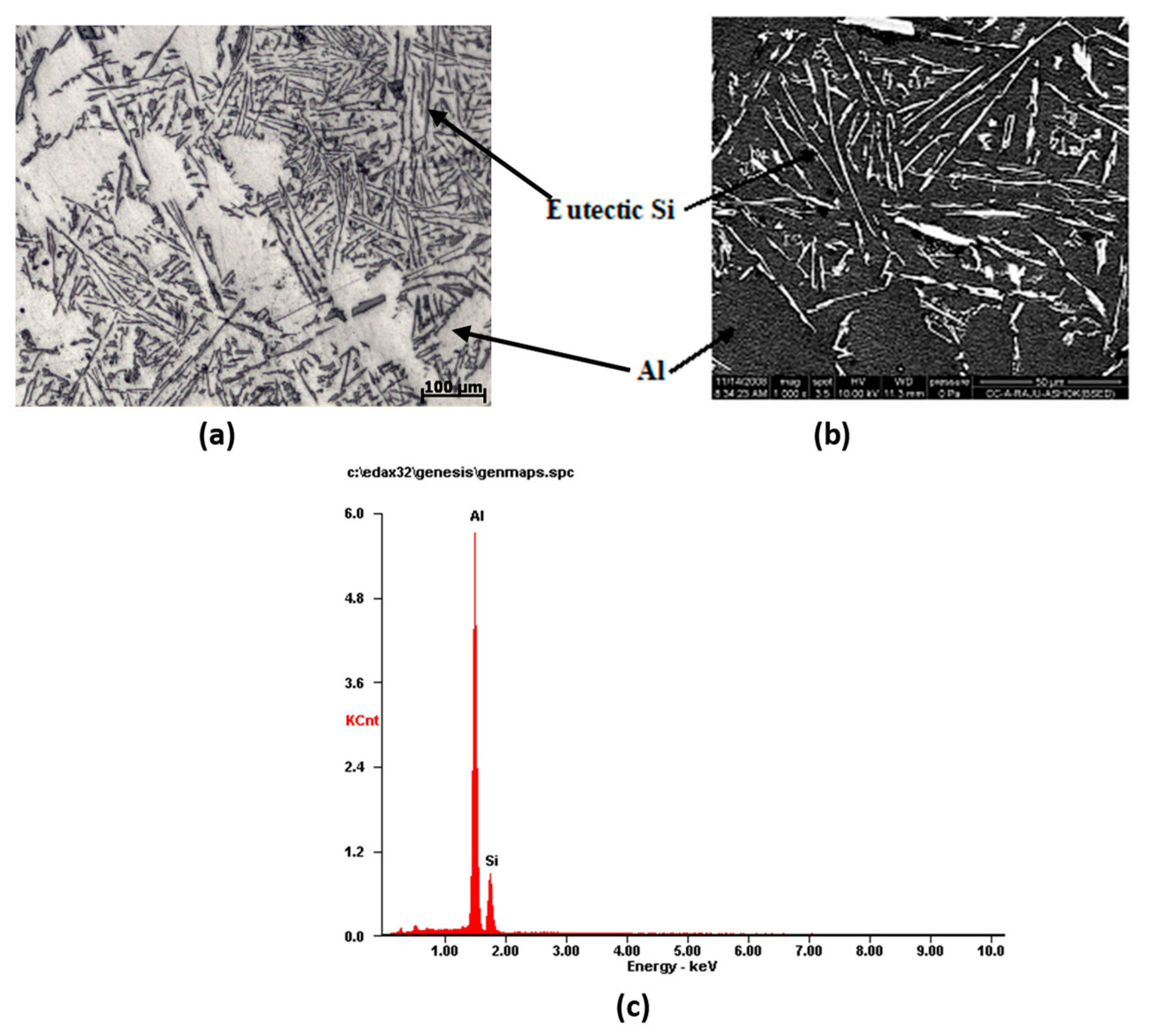 Preprints 97035 g002